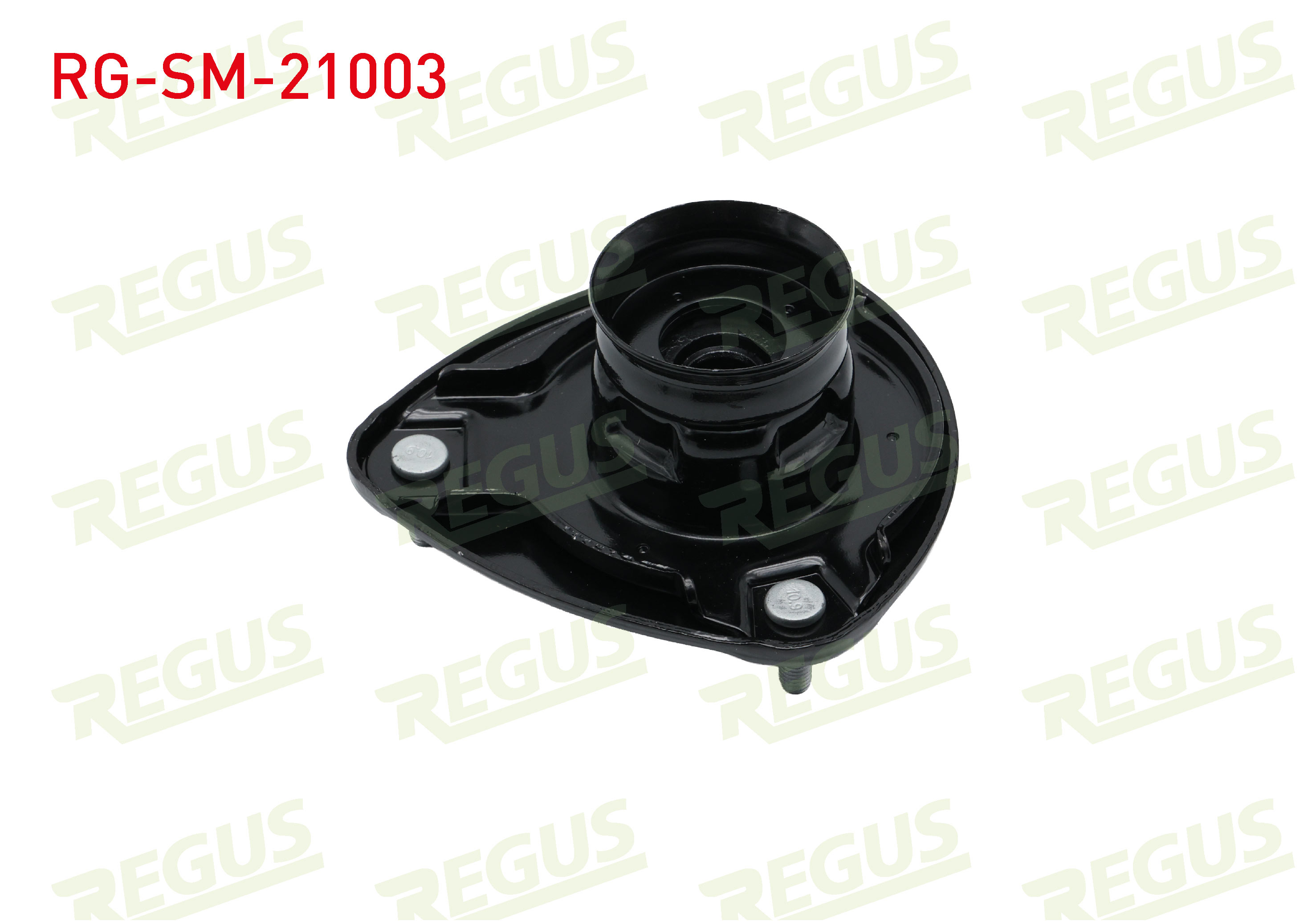 REGUS 63-09543