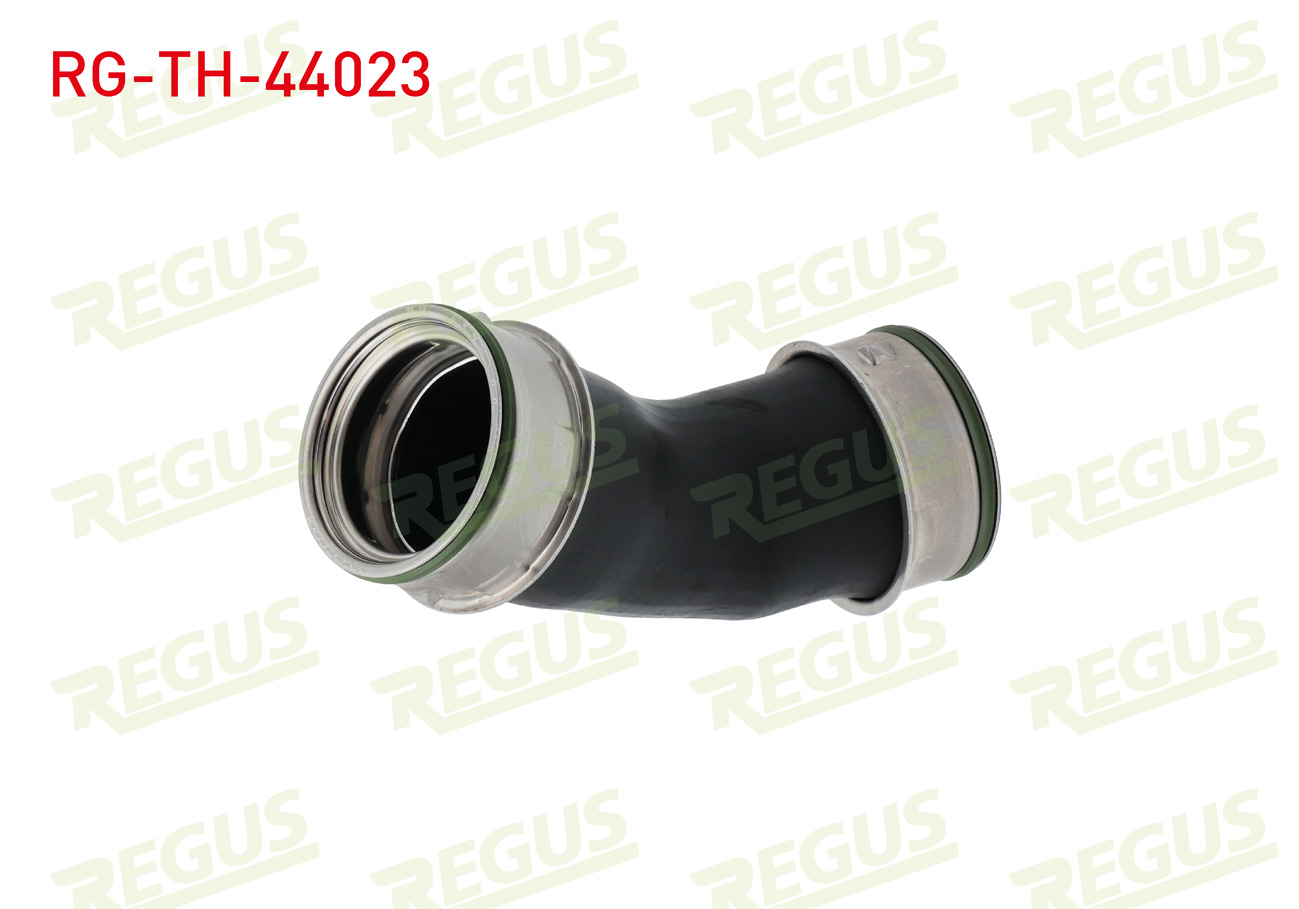 REGUS 