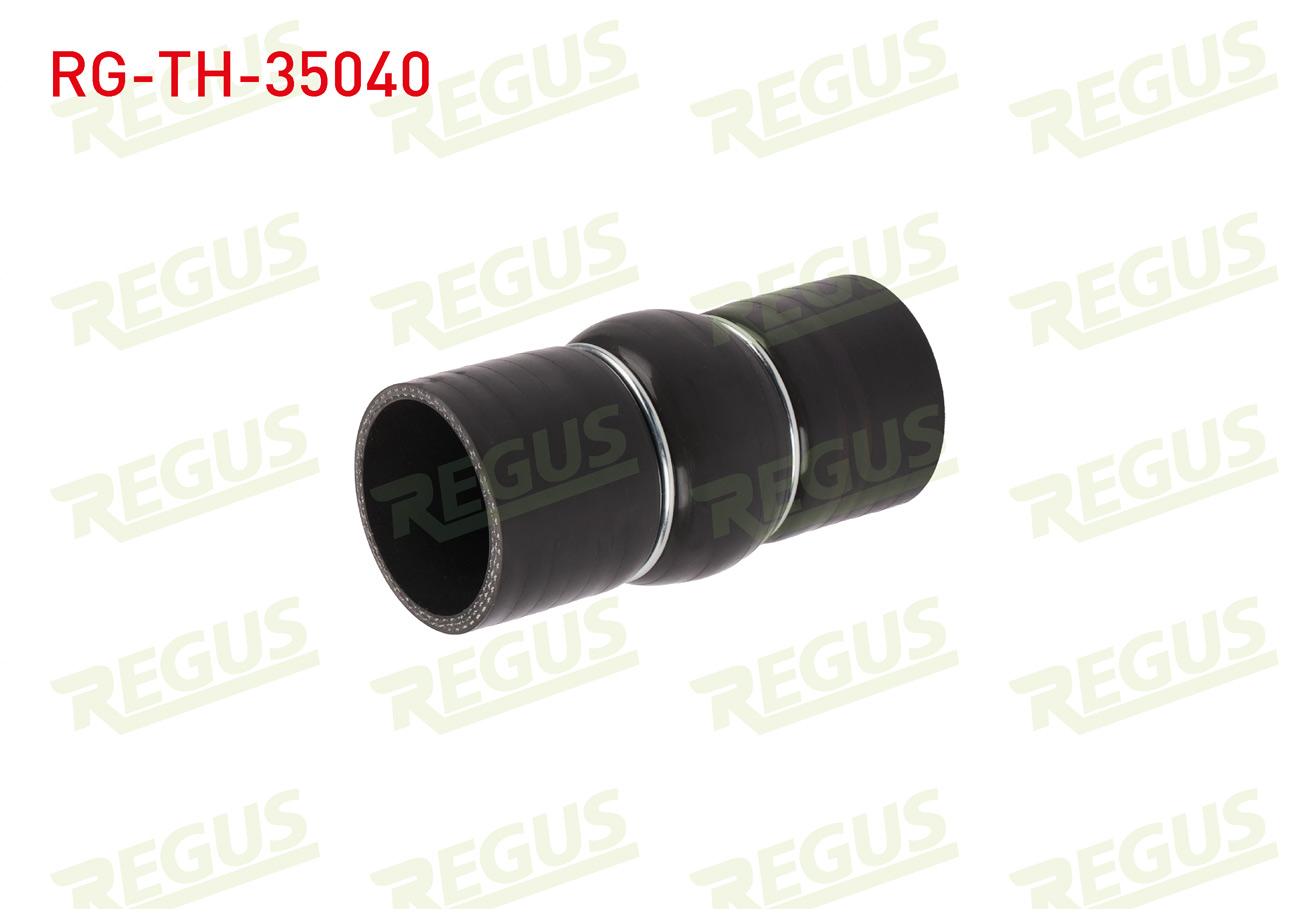 REGUS 