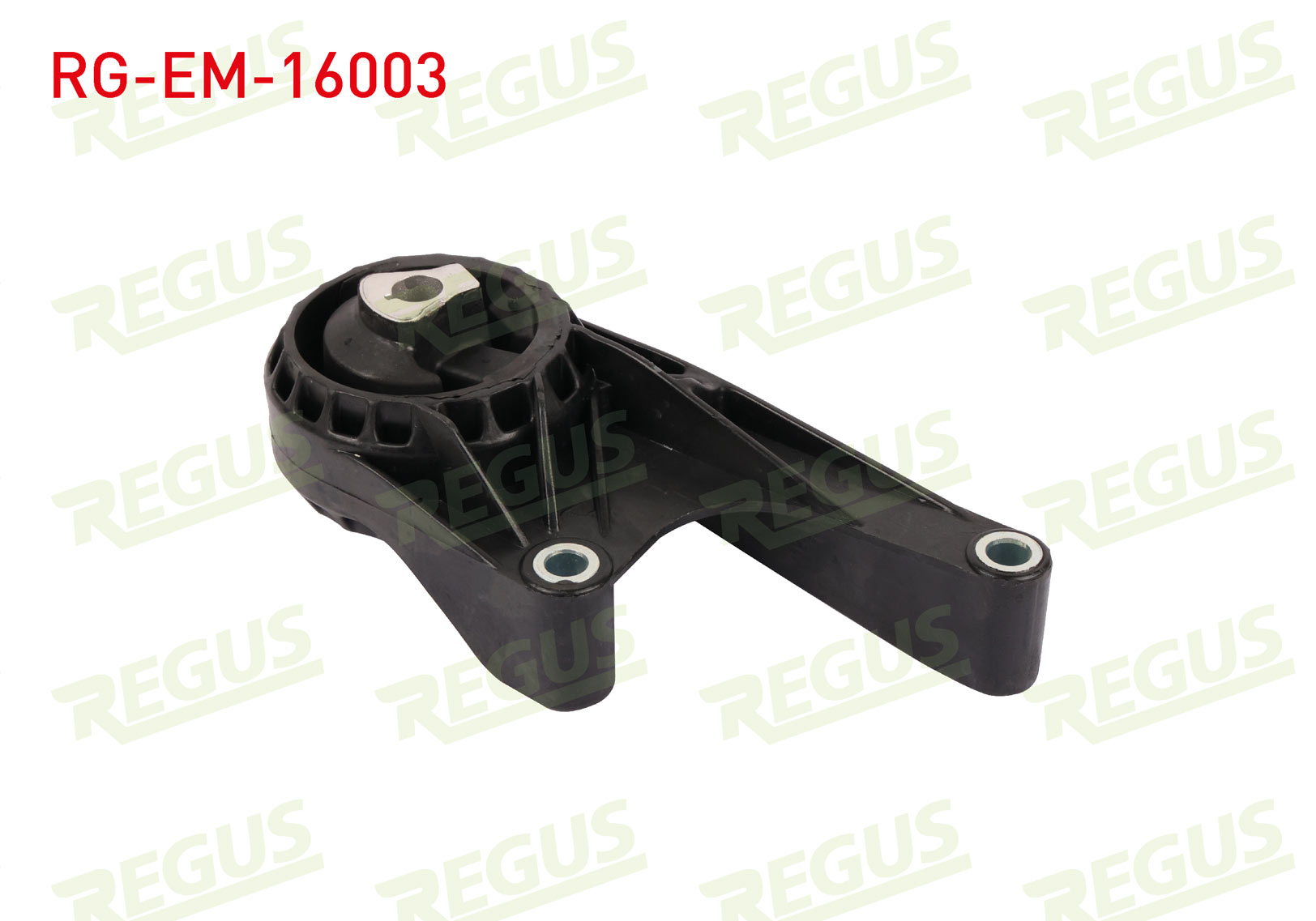 REGUS 61-06649