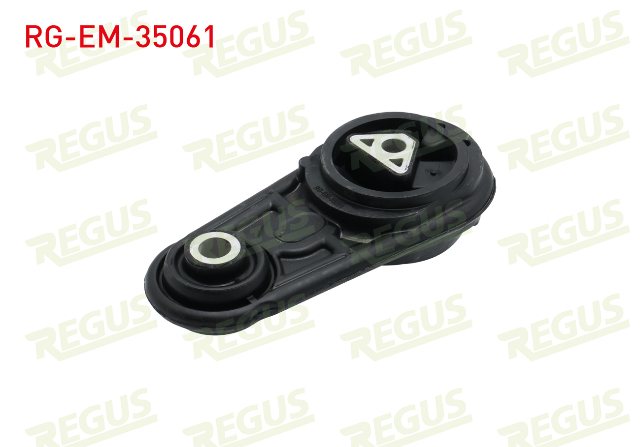 REGUS 