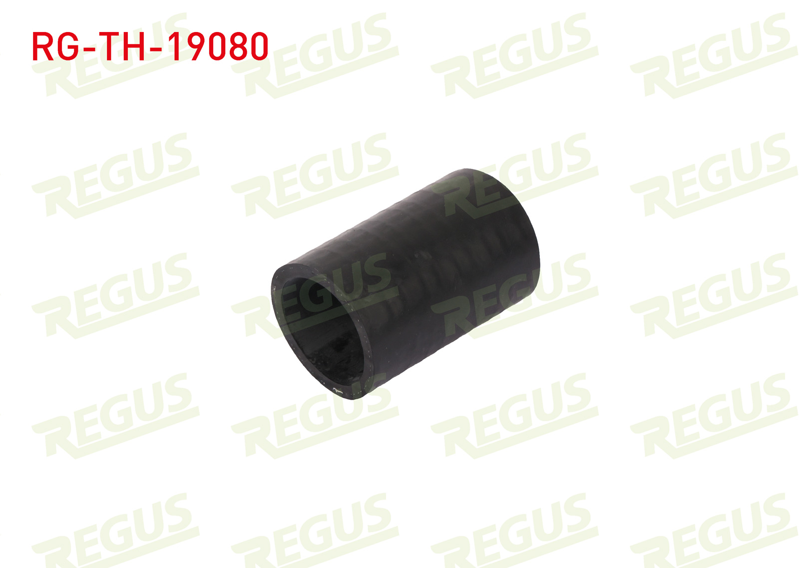 REGUS 