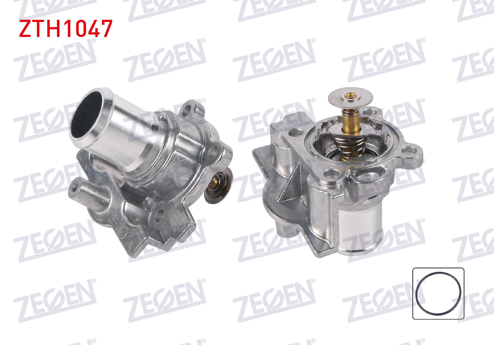 ZEGEN 173374