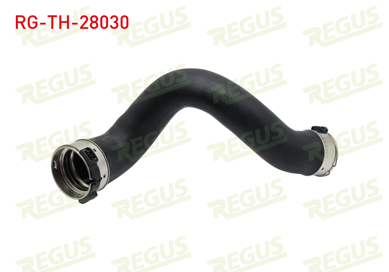 REGUS 33564