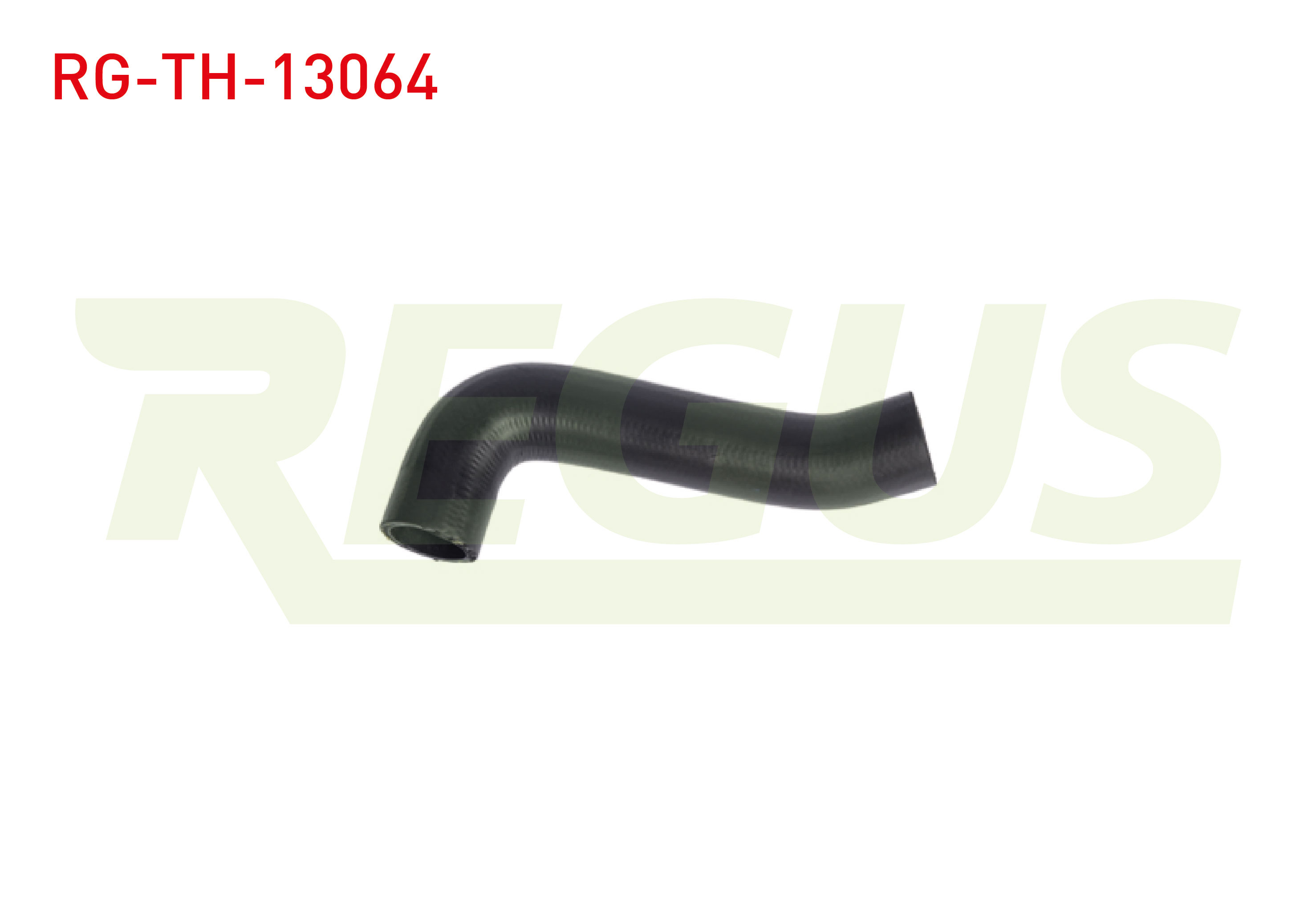 REGUS 