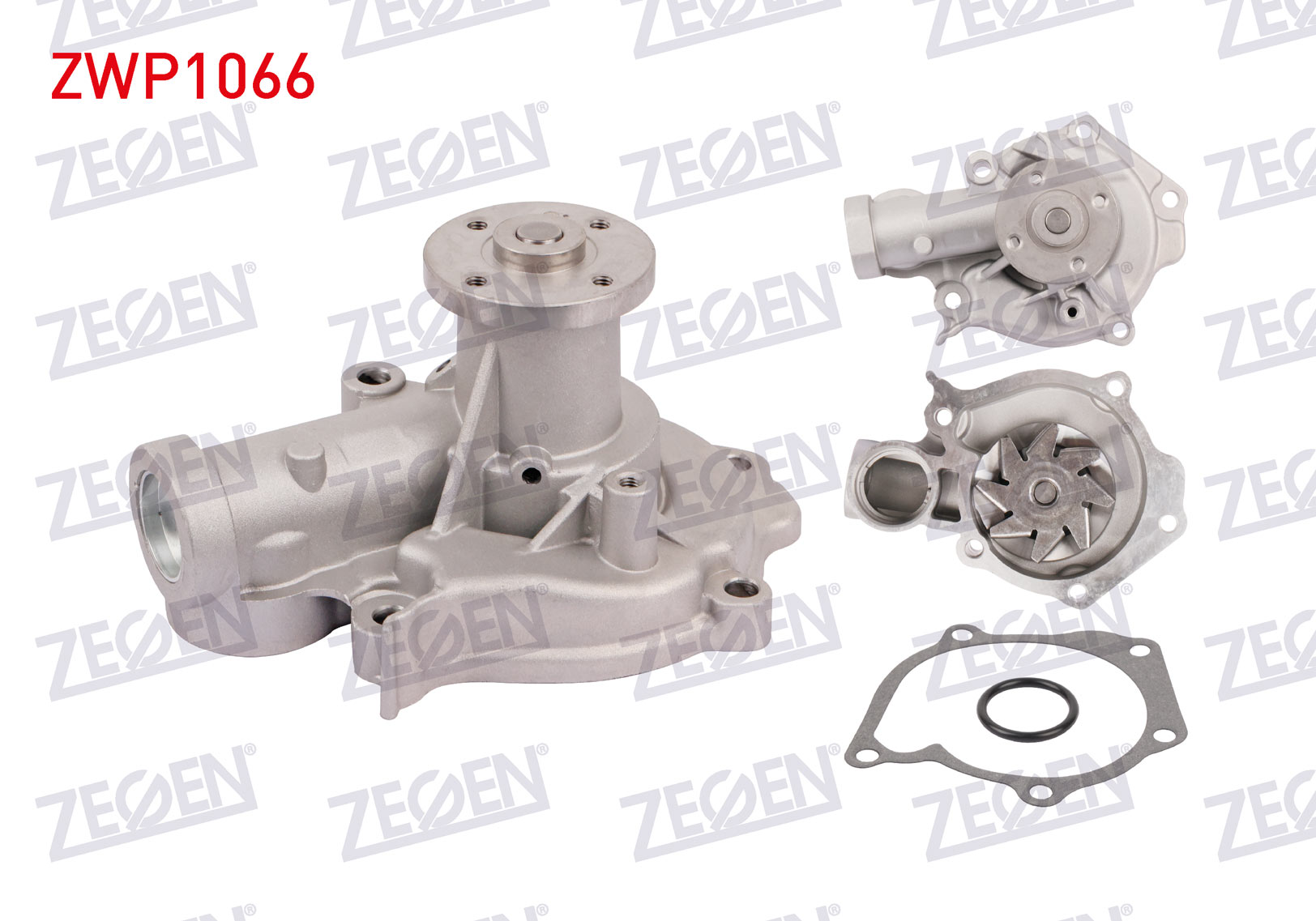 ZEGEN 987765