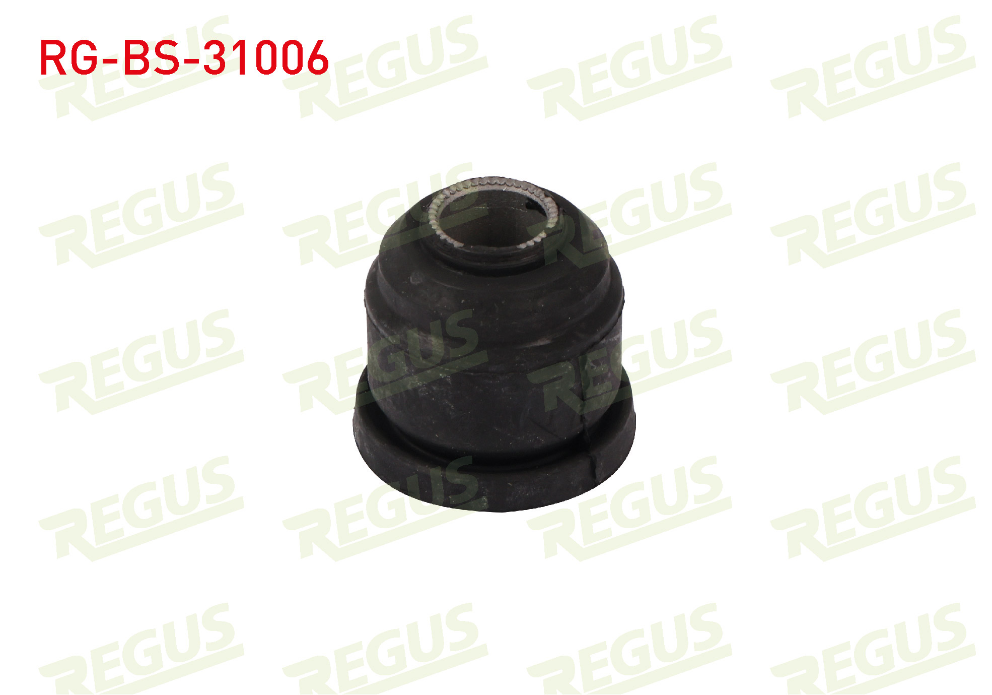 REGUS 42521
