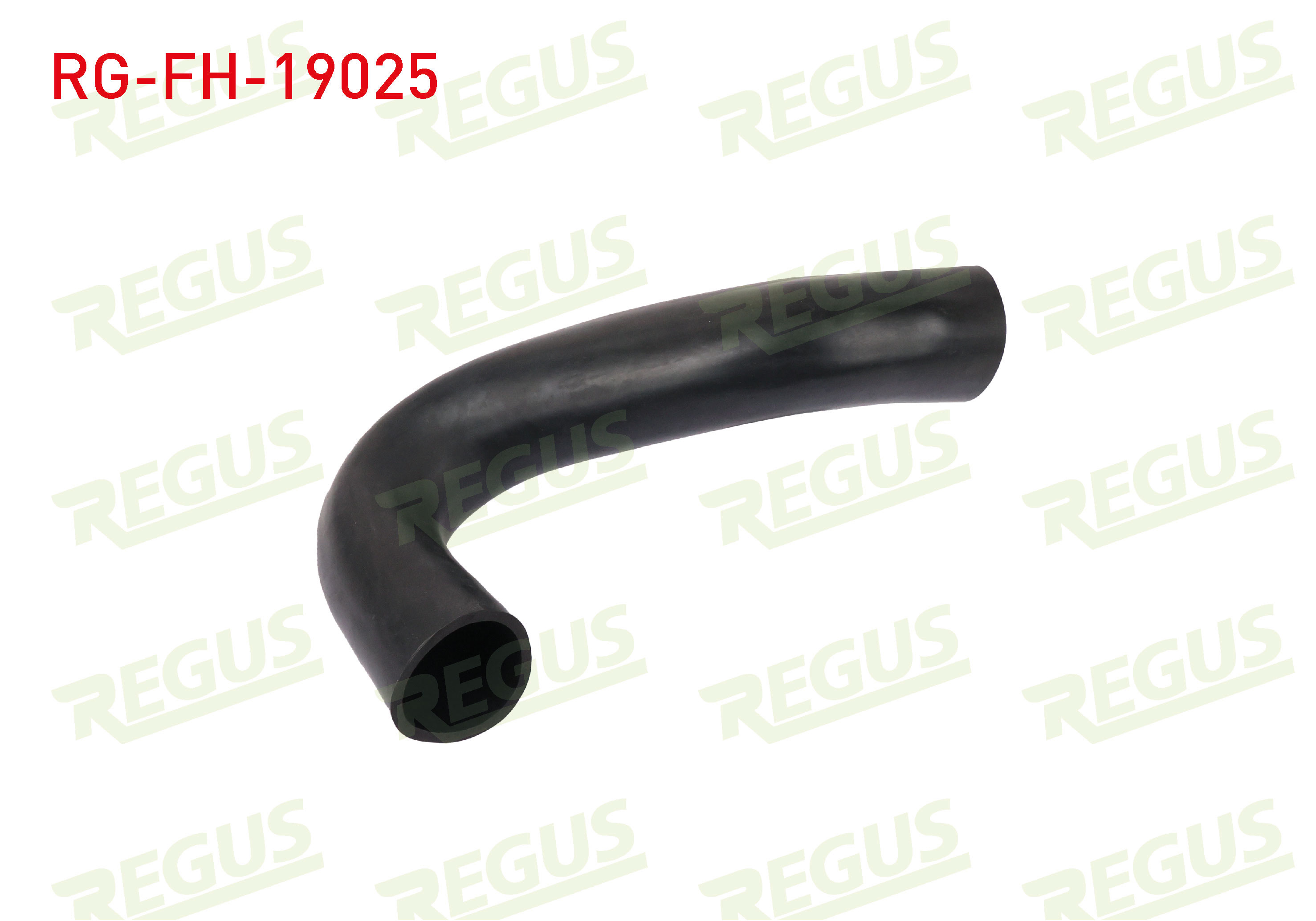 REGUS 19588