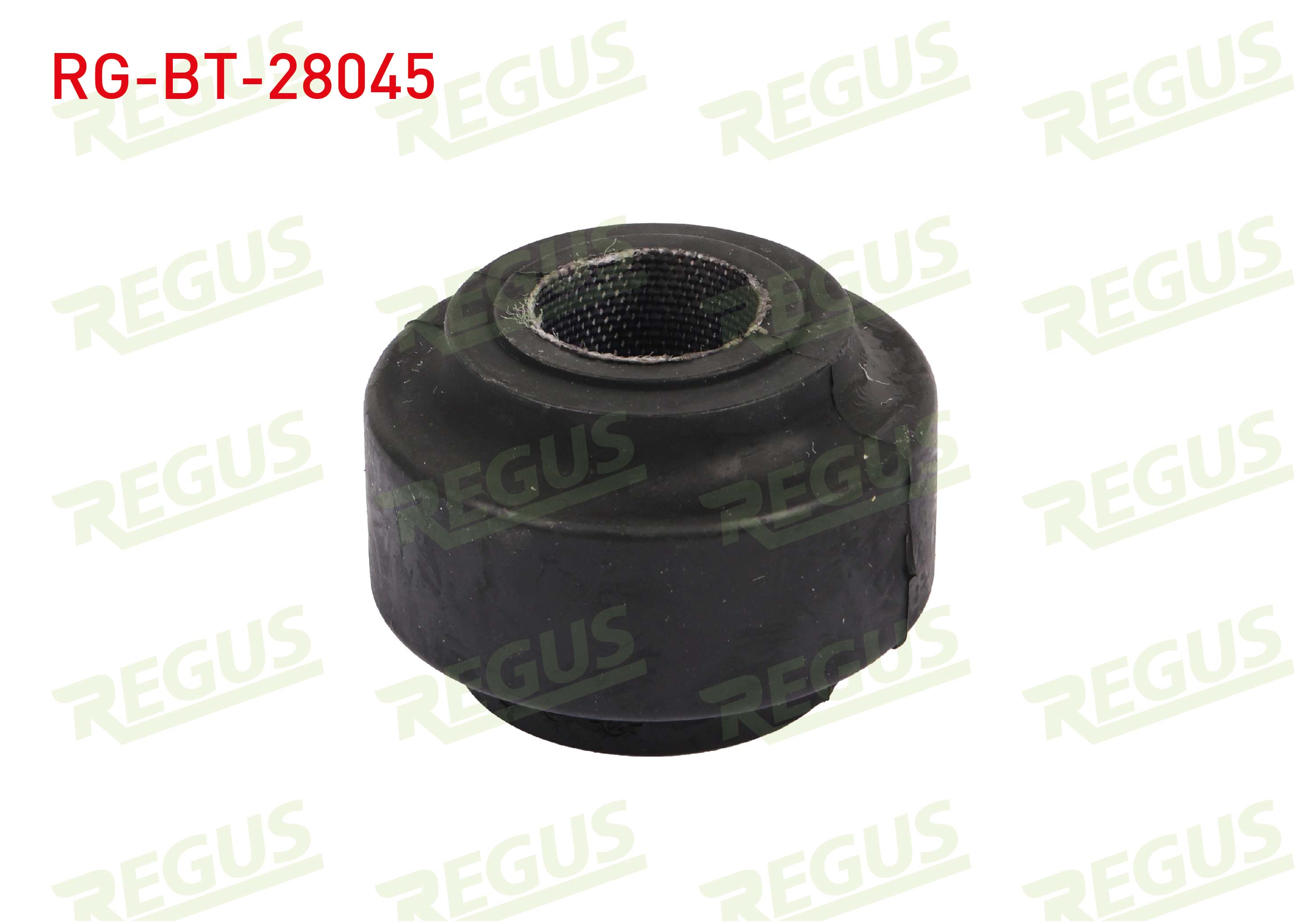 REGUS 65-14029