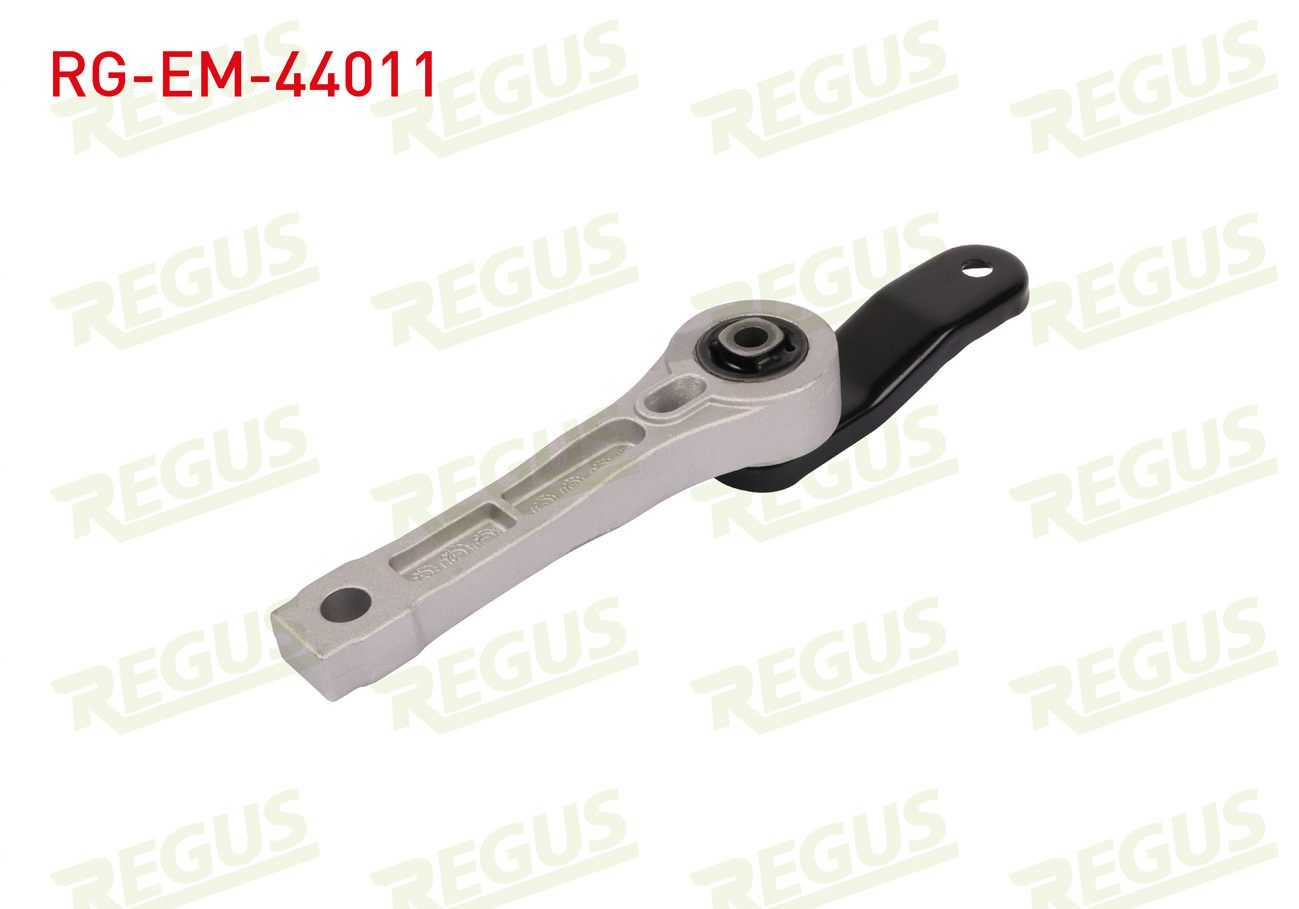 REGUS 
