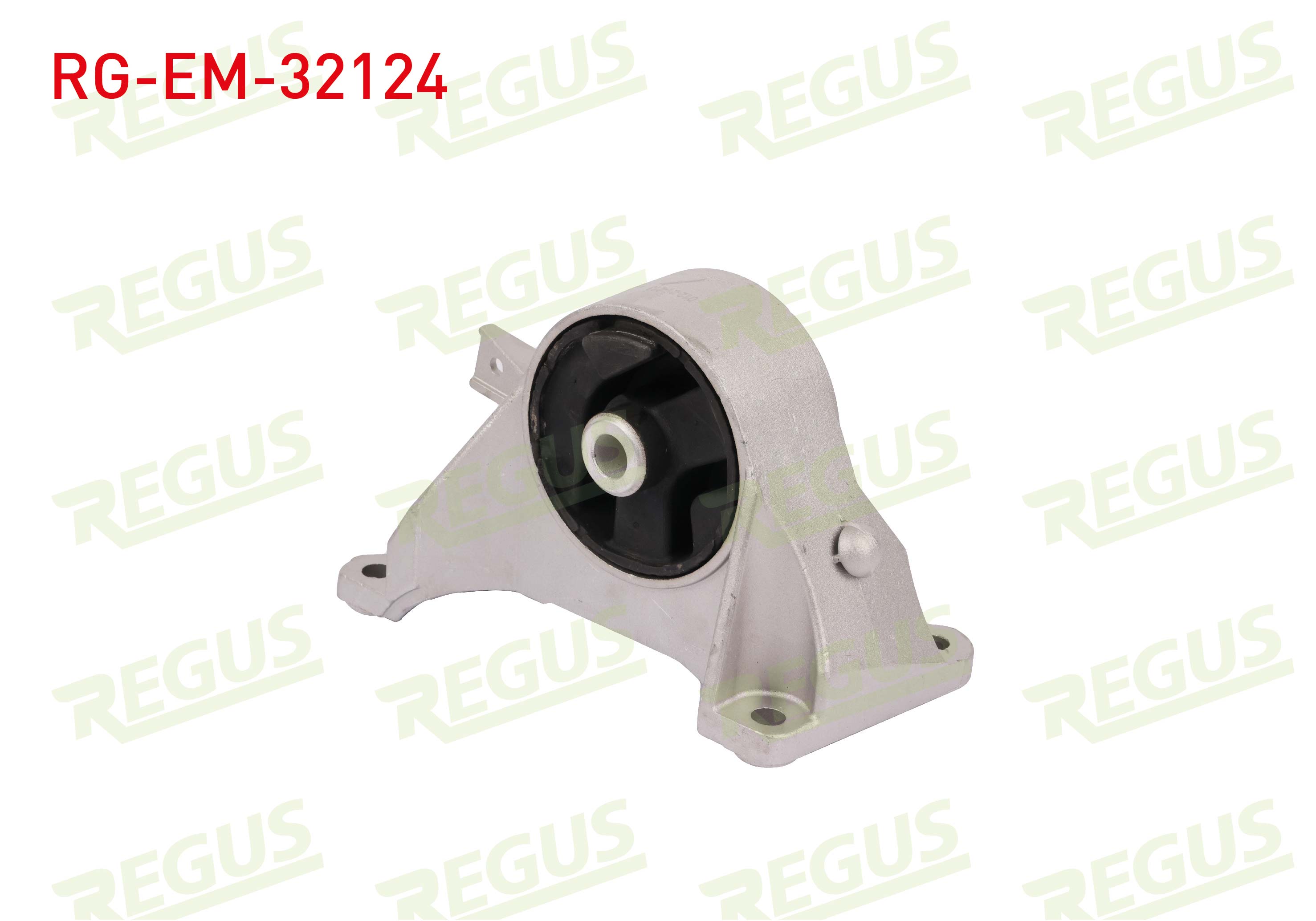 REGUS 61-11379