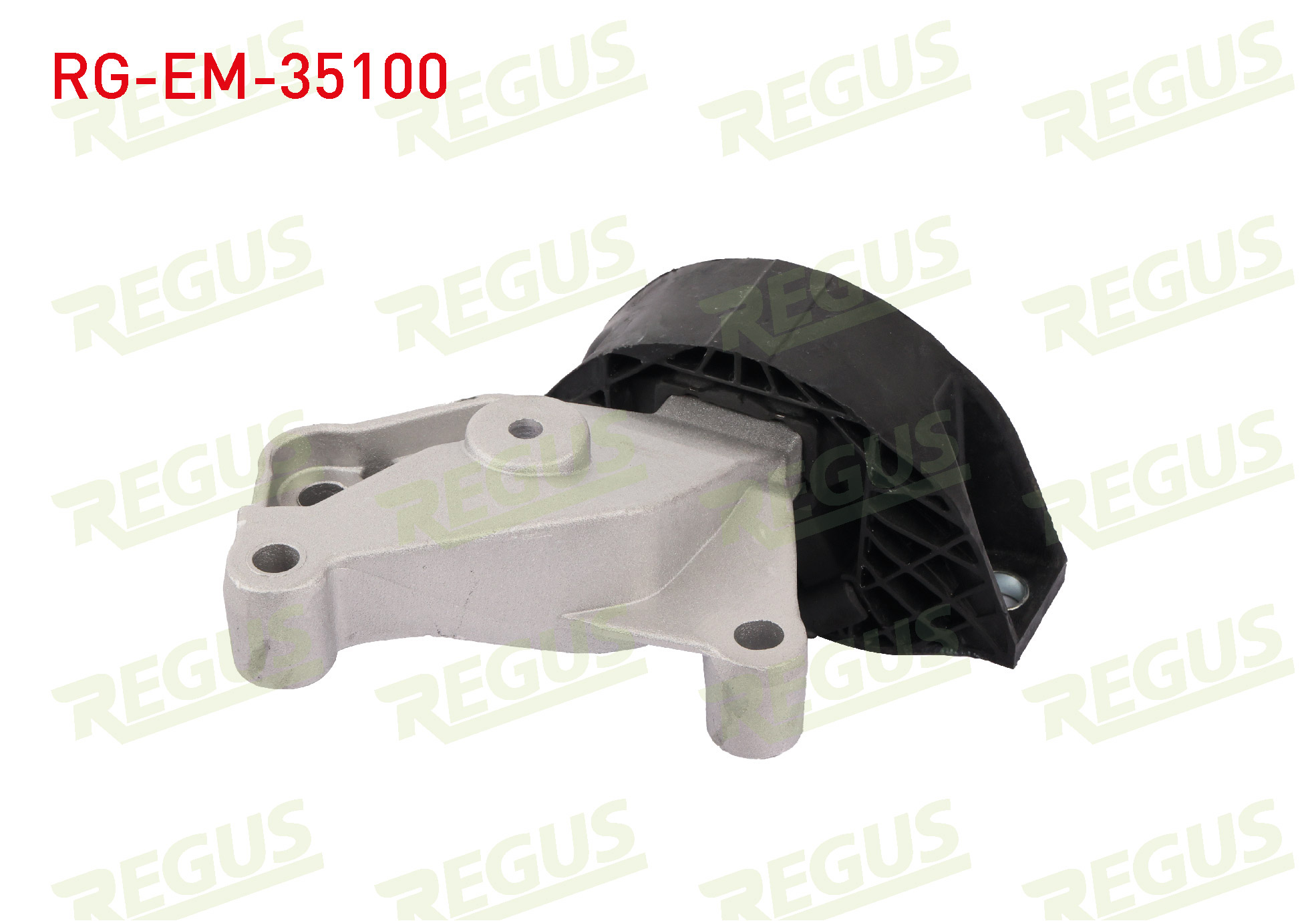 REGUS 61-10908