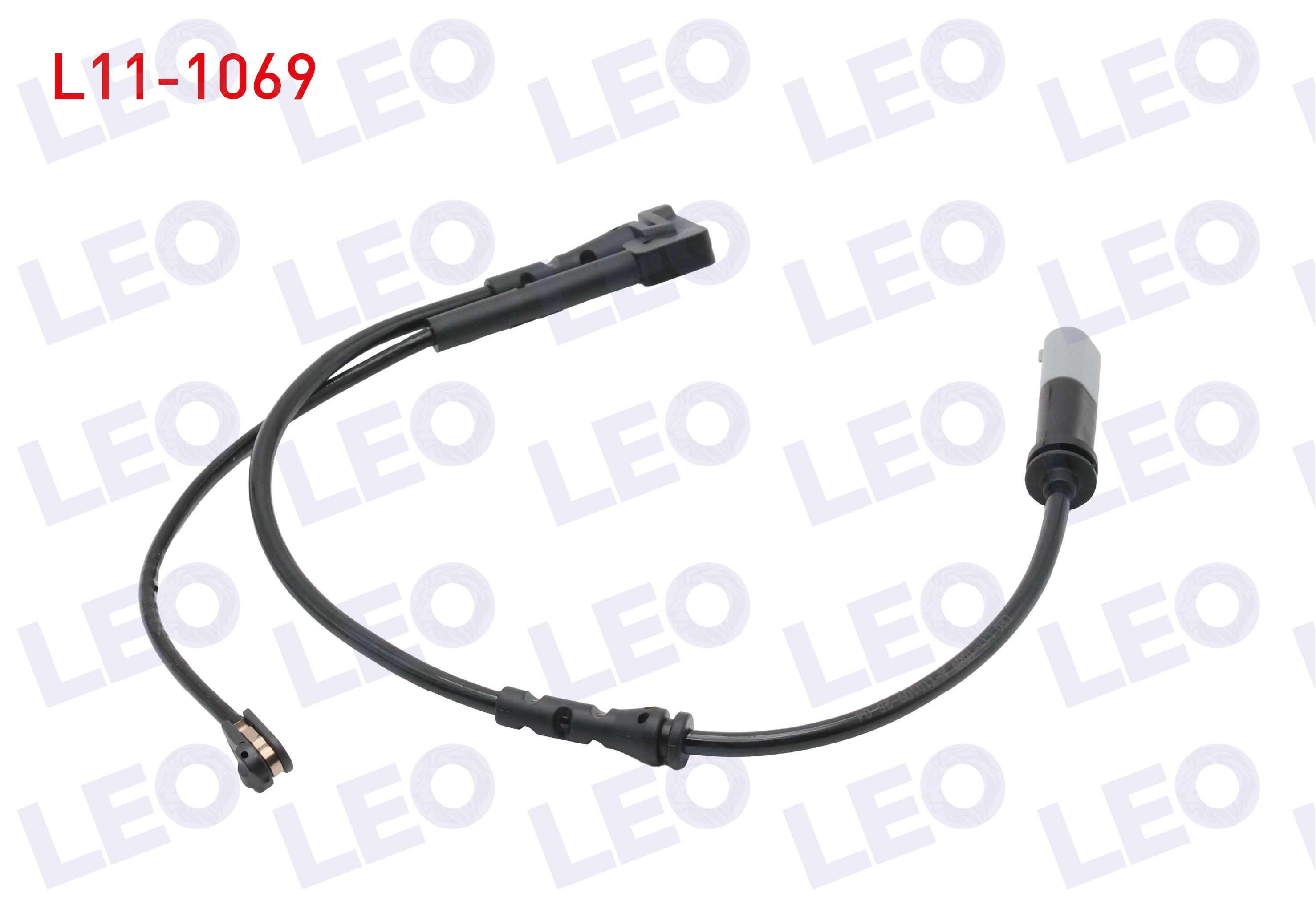 LEO 