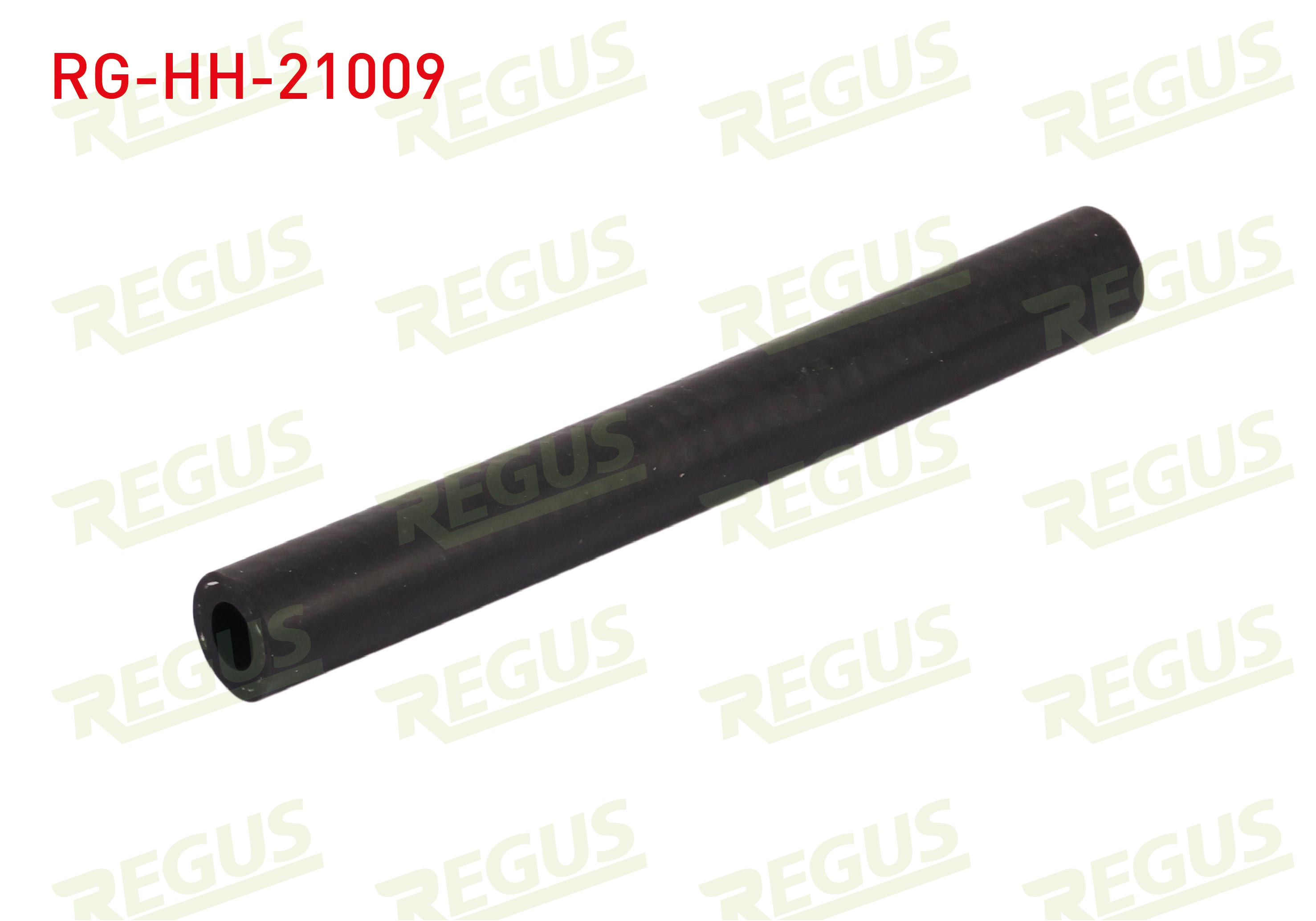 REGUS 