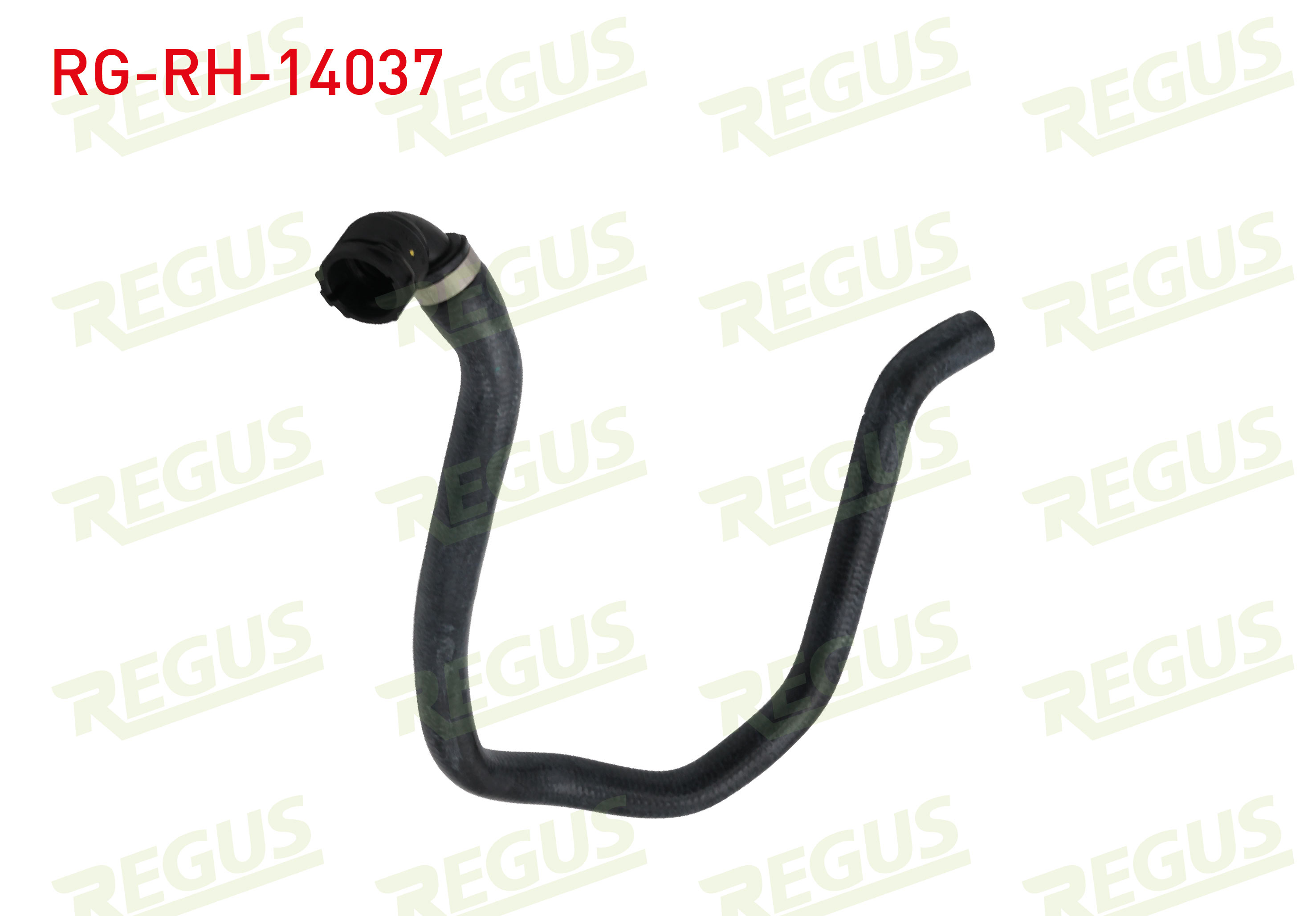 REGUS  | RADYATOR HORTUMU CIKIS BMW X5 (E53) 4.4i - 4.6 iS 2000-2007