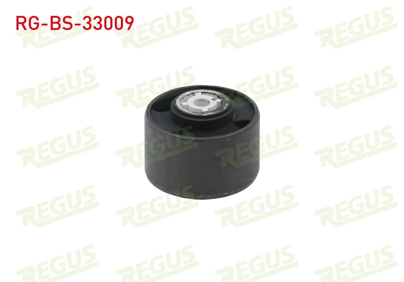 REGUS 