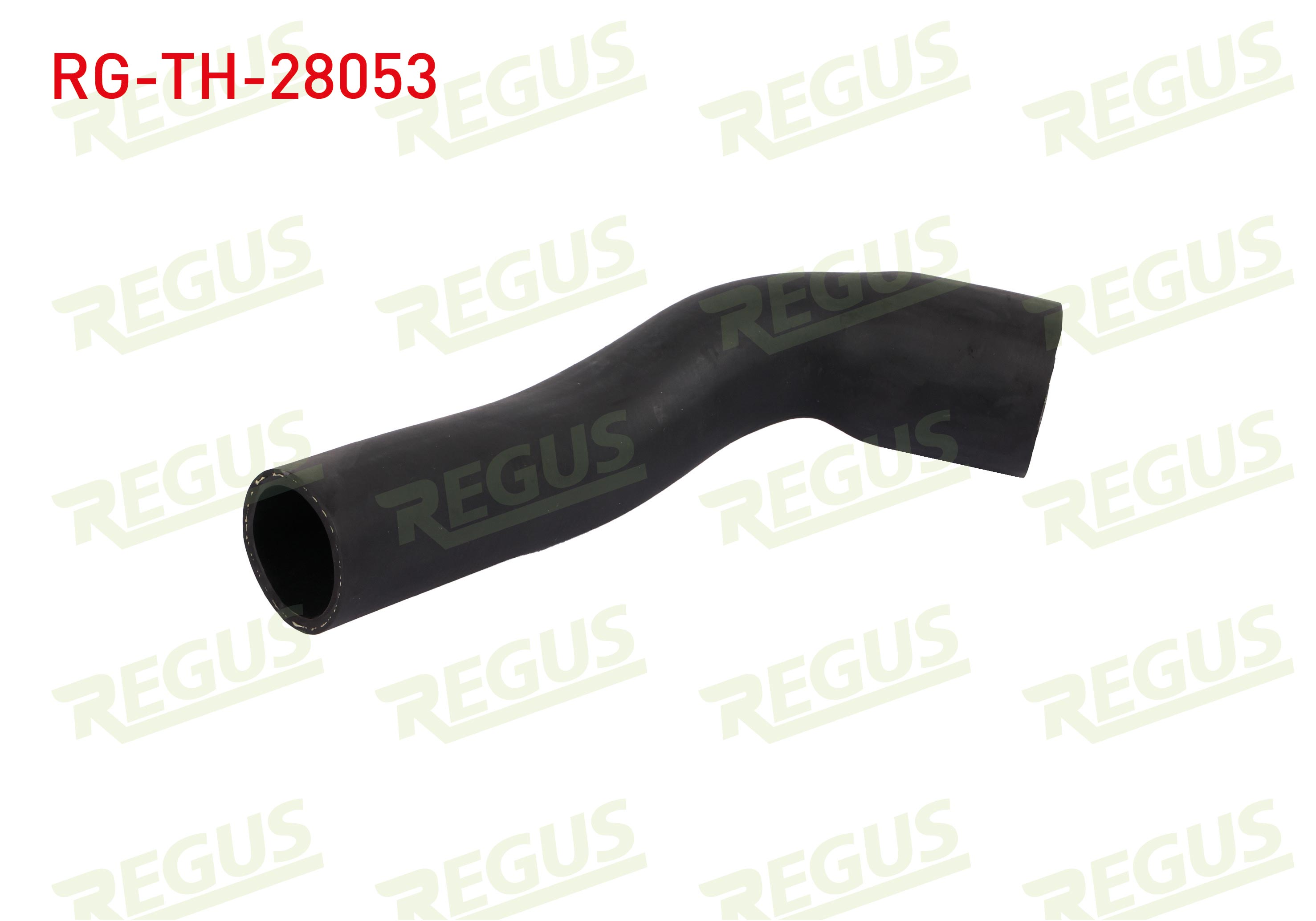 REGUS 33405
