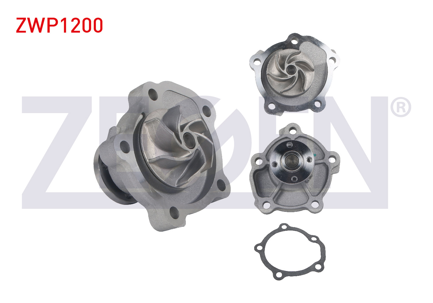 ZEGEN 987521