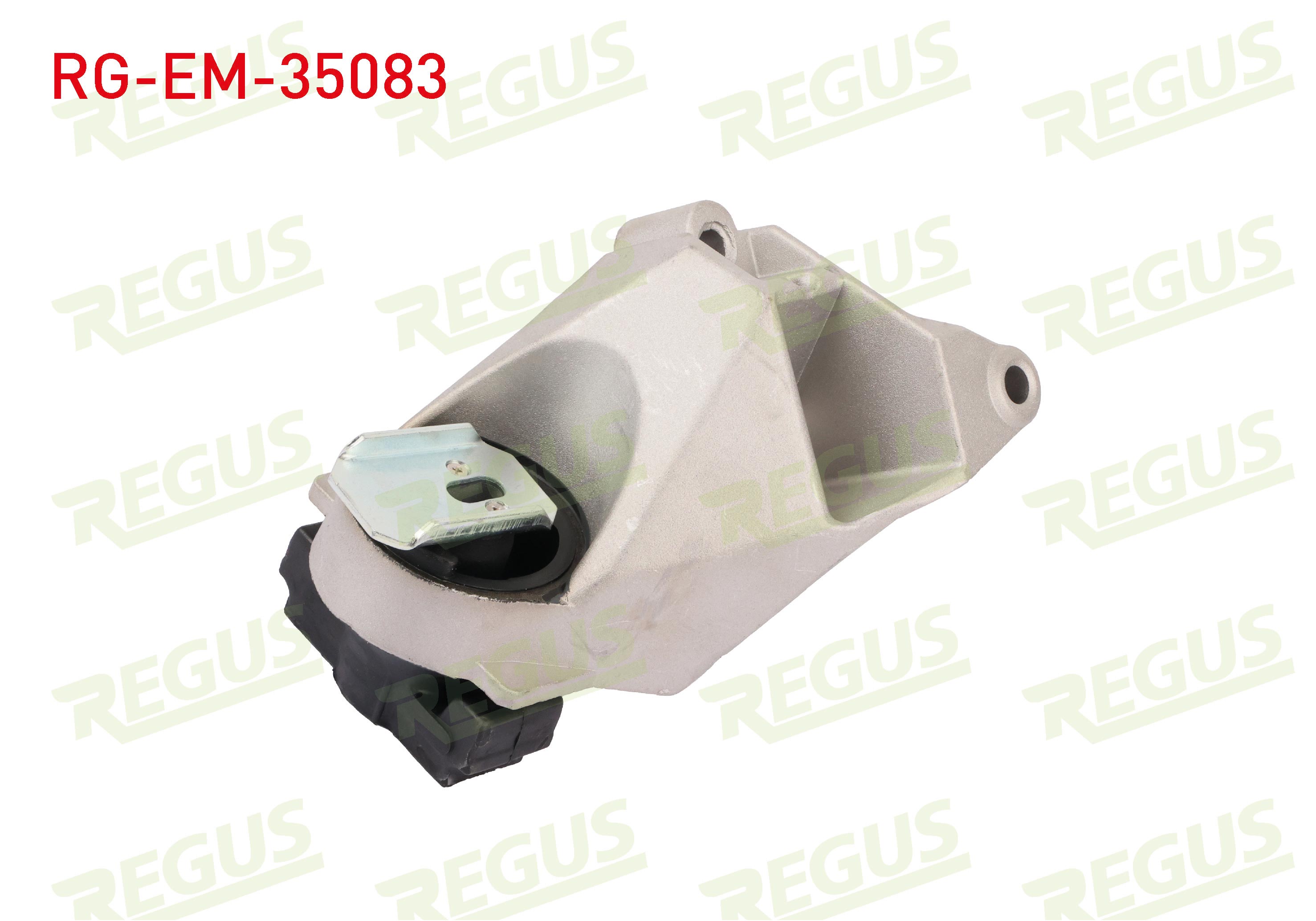 REGUS 30001
