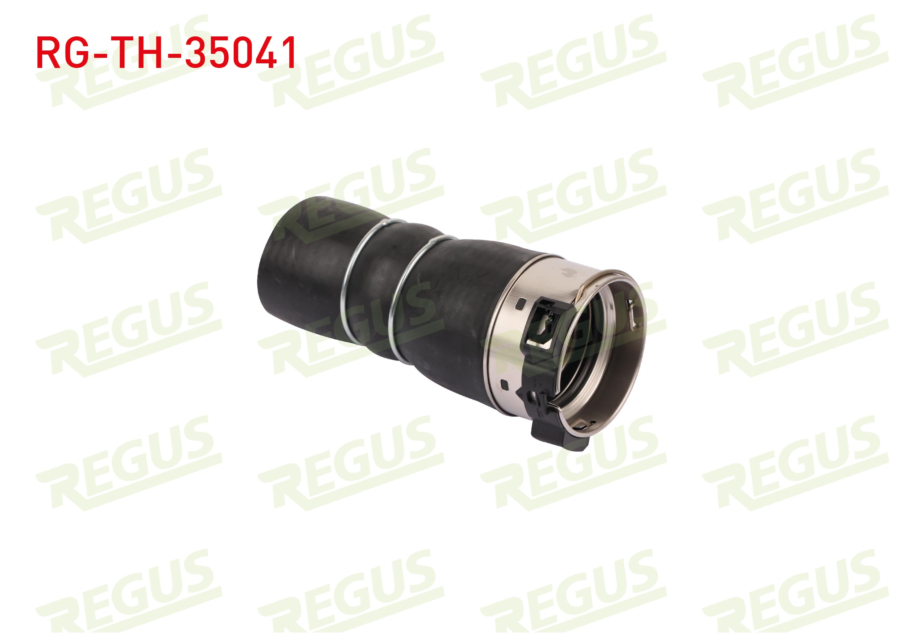 REGUS 