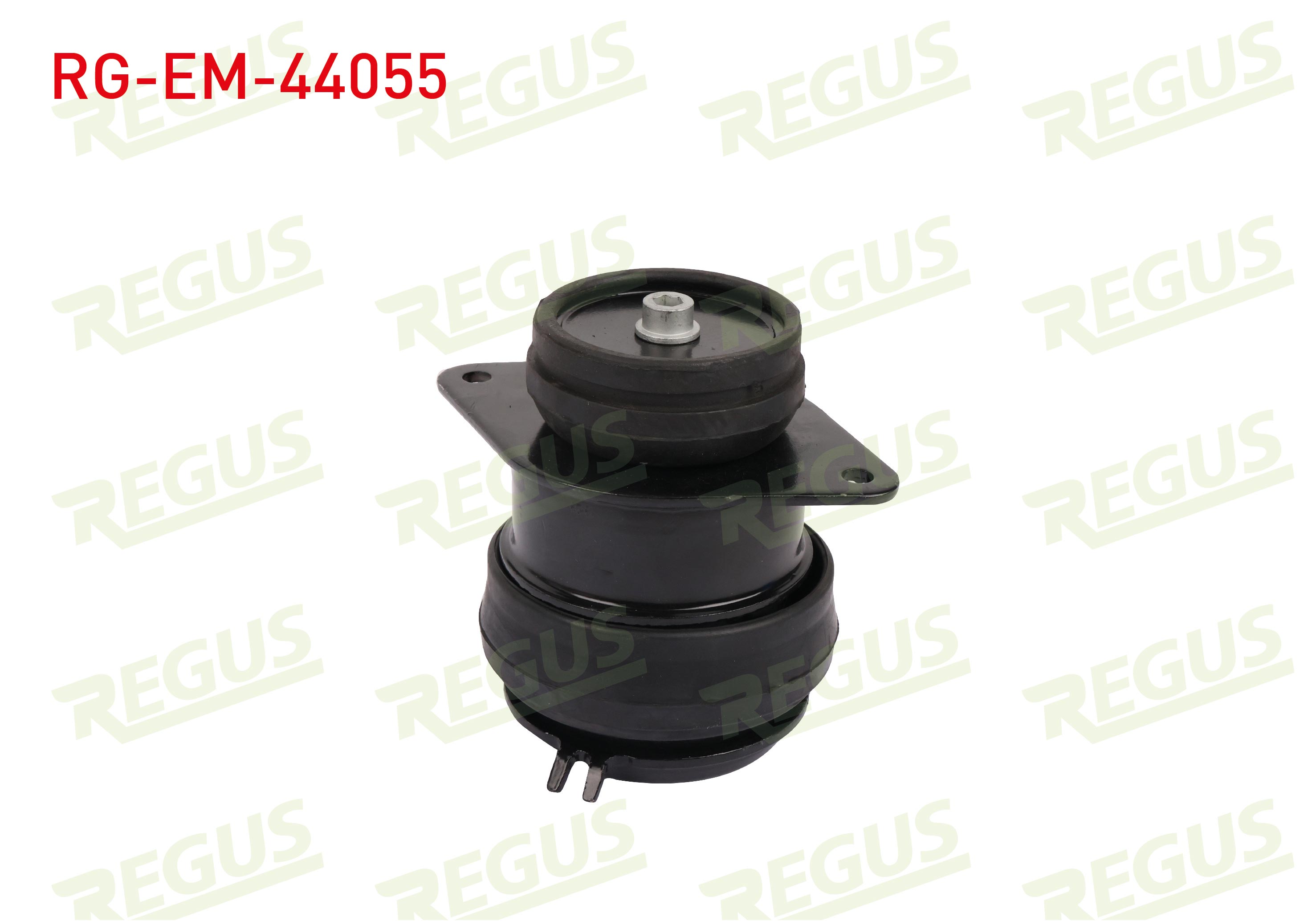 REGUS 