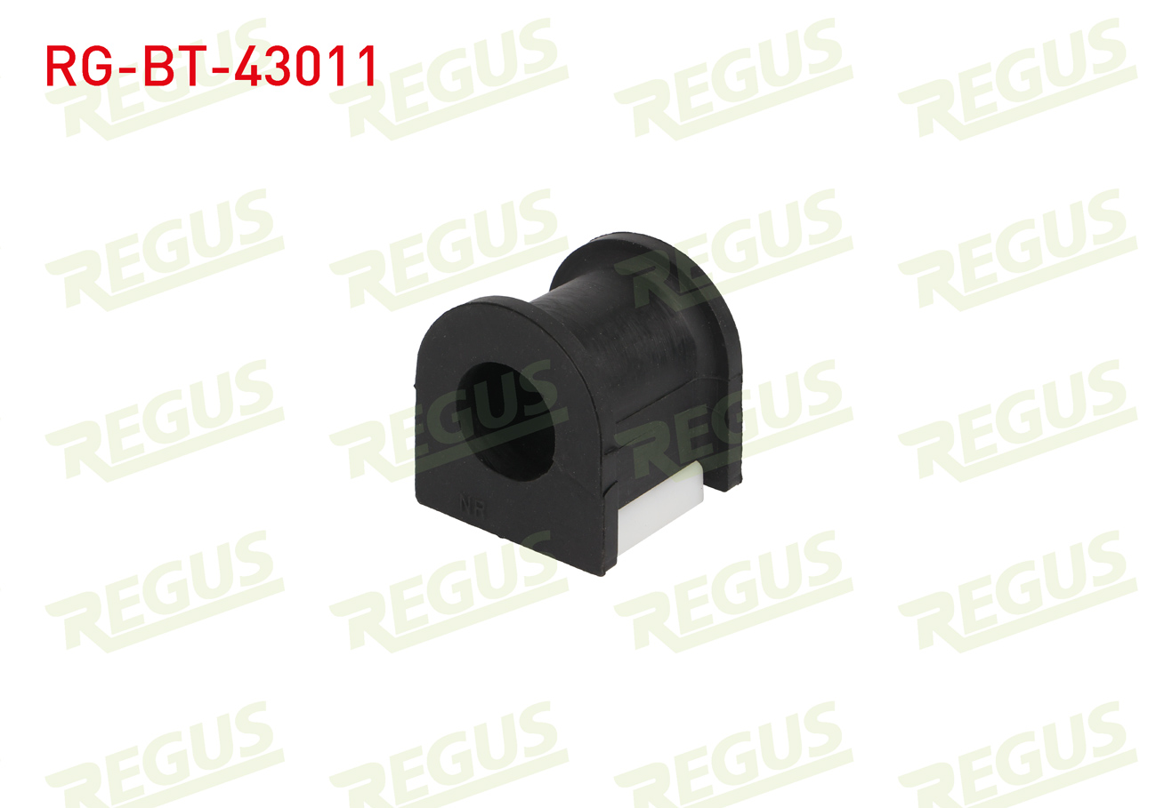 REGUS 42873