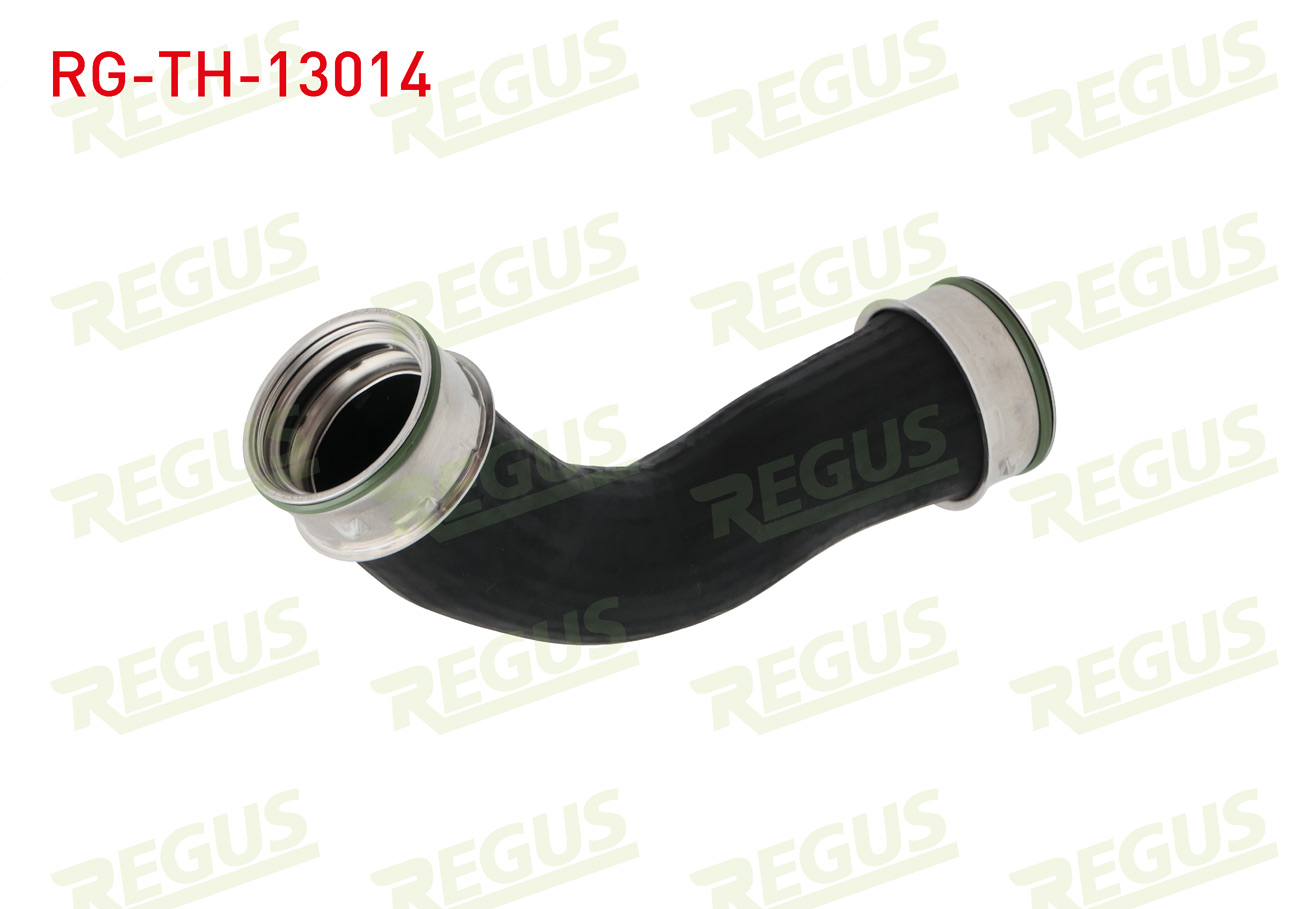 REGUS 