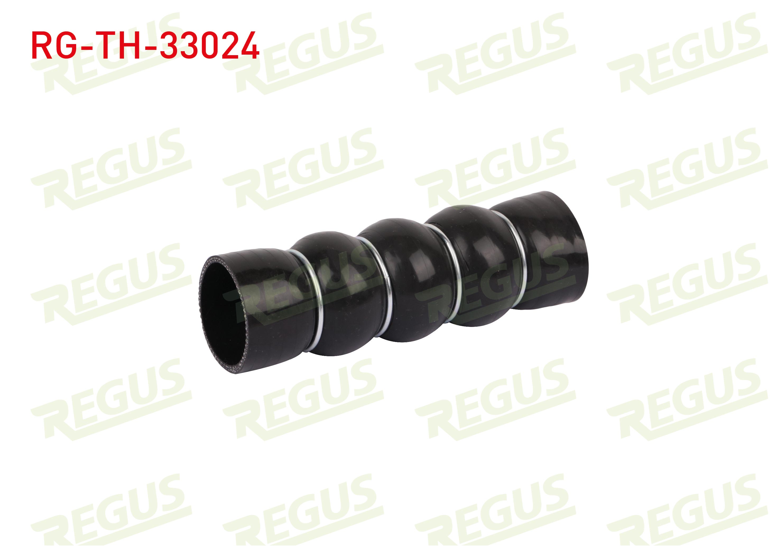 REGUS 