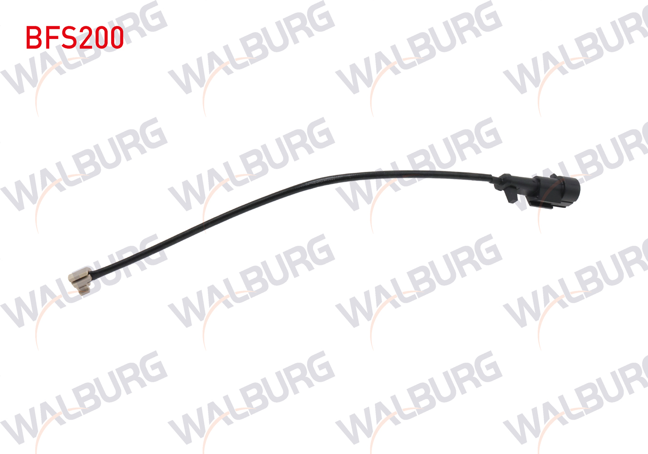 WALBURG 