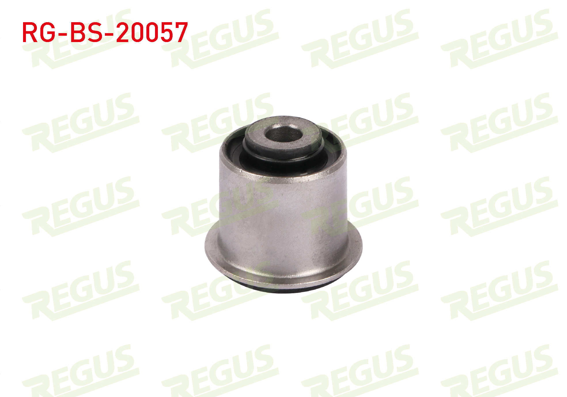 REGUS 64-12205