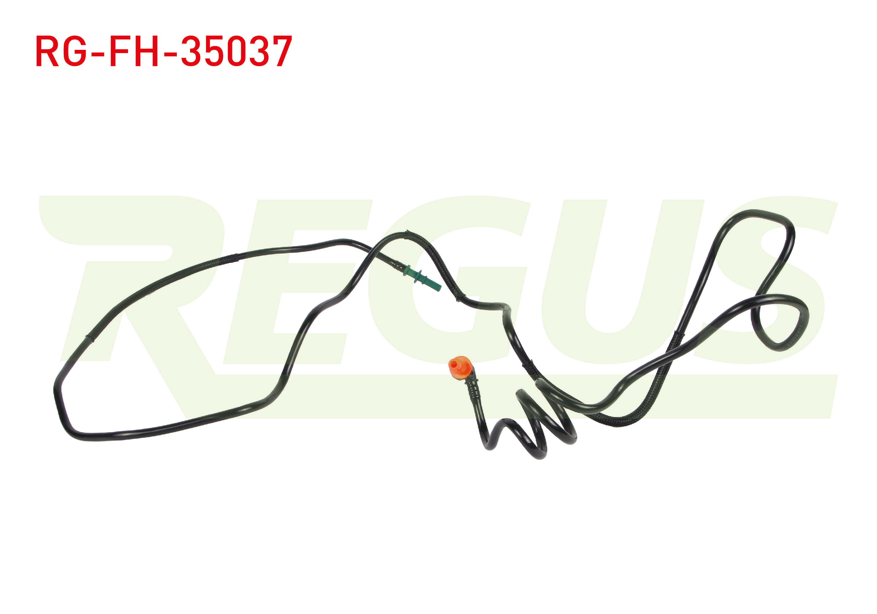 REGUS 11494