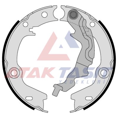 AP 