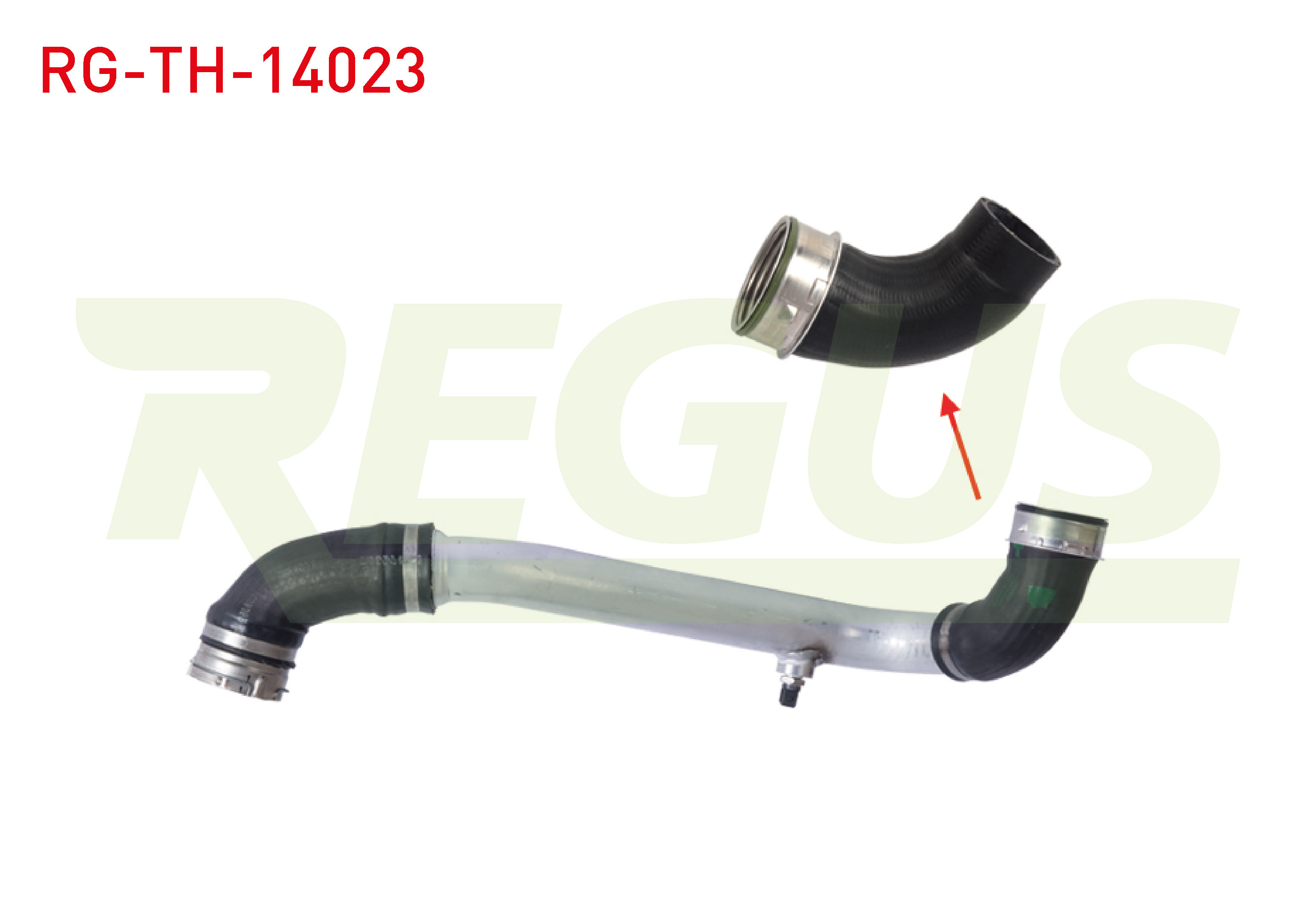 REGUS 