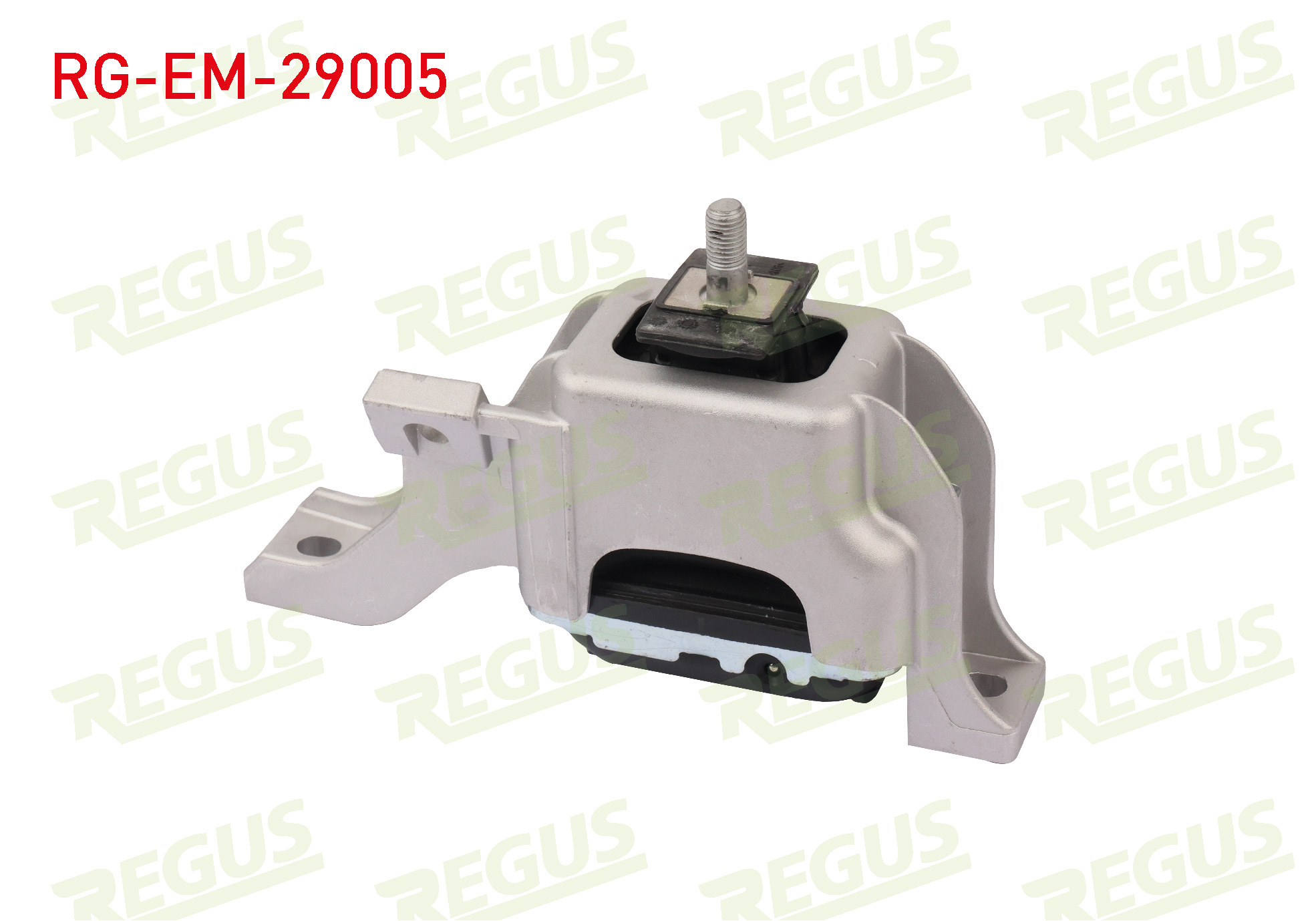 REGUS 61-13537