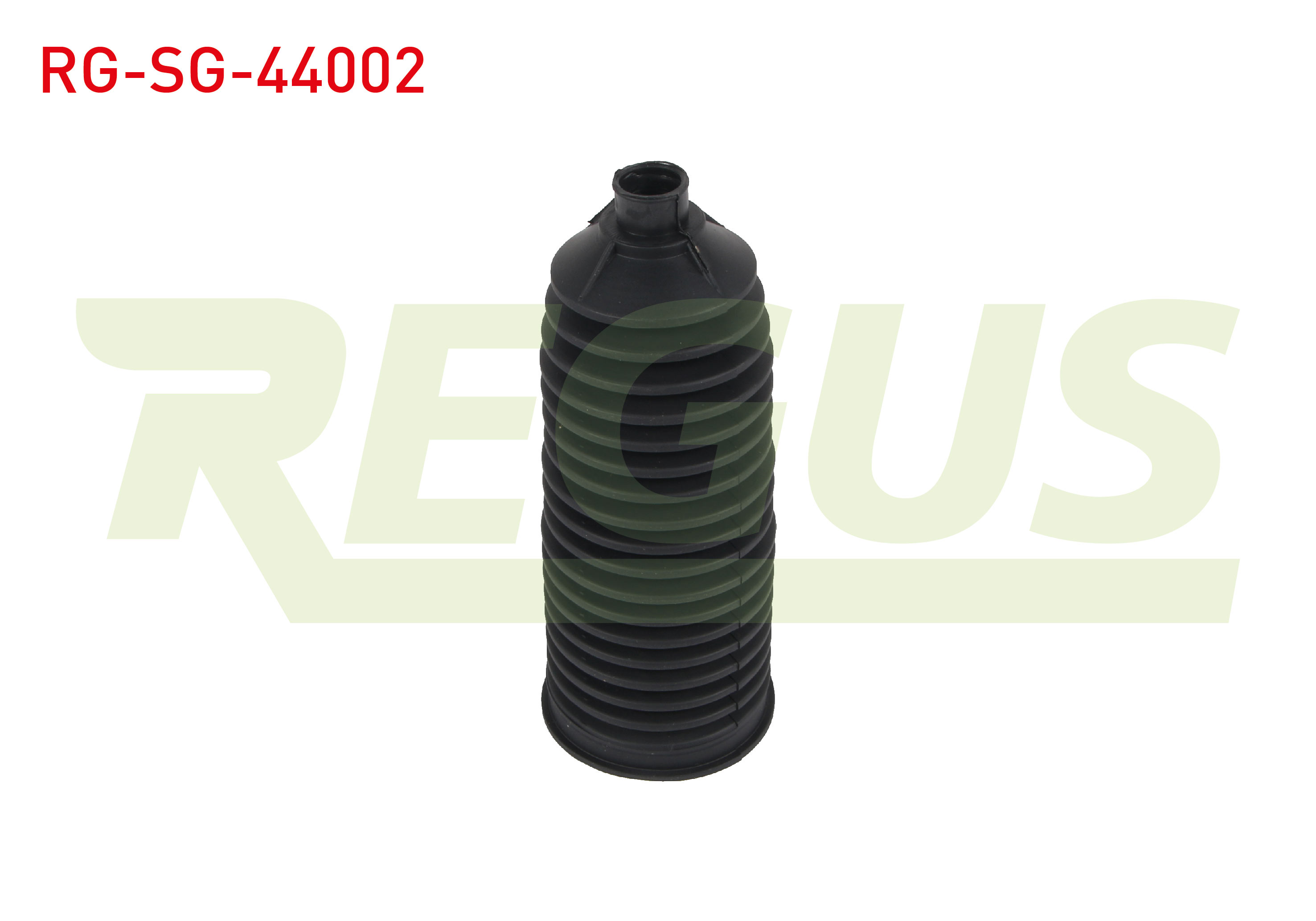REGUS 