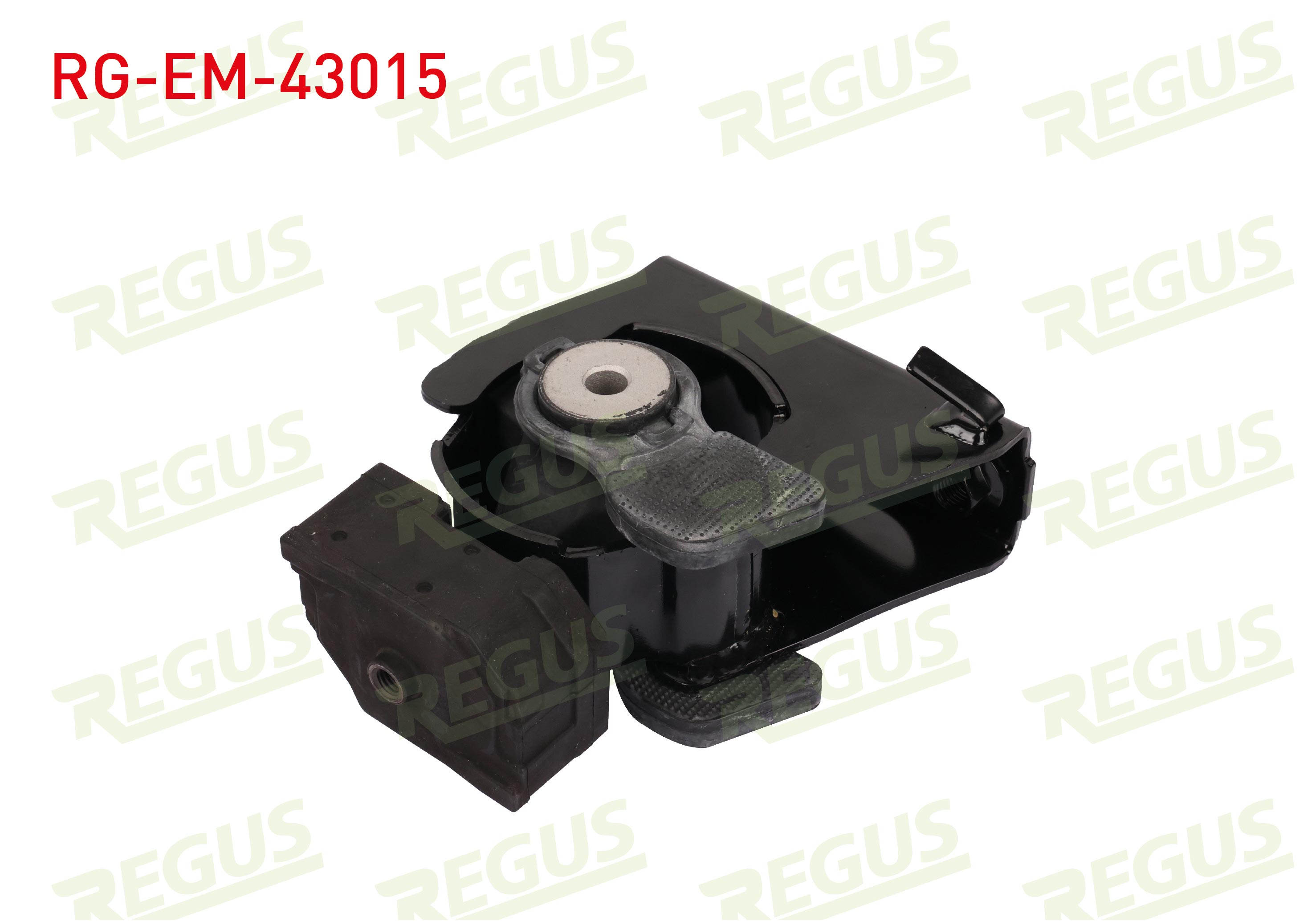REGUS 61-11731