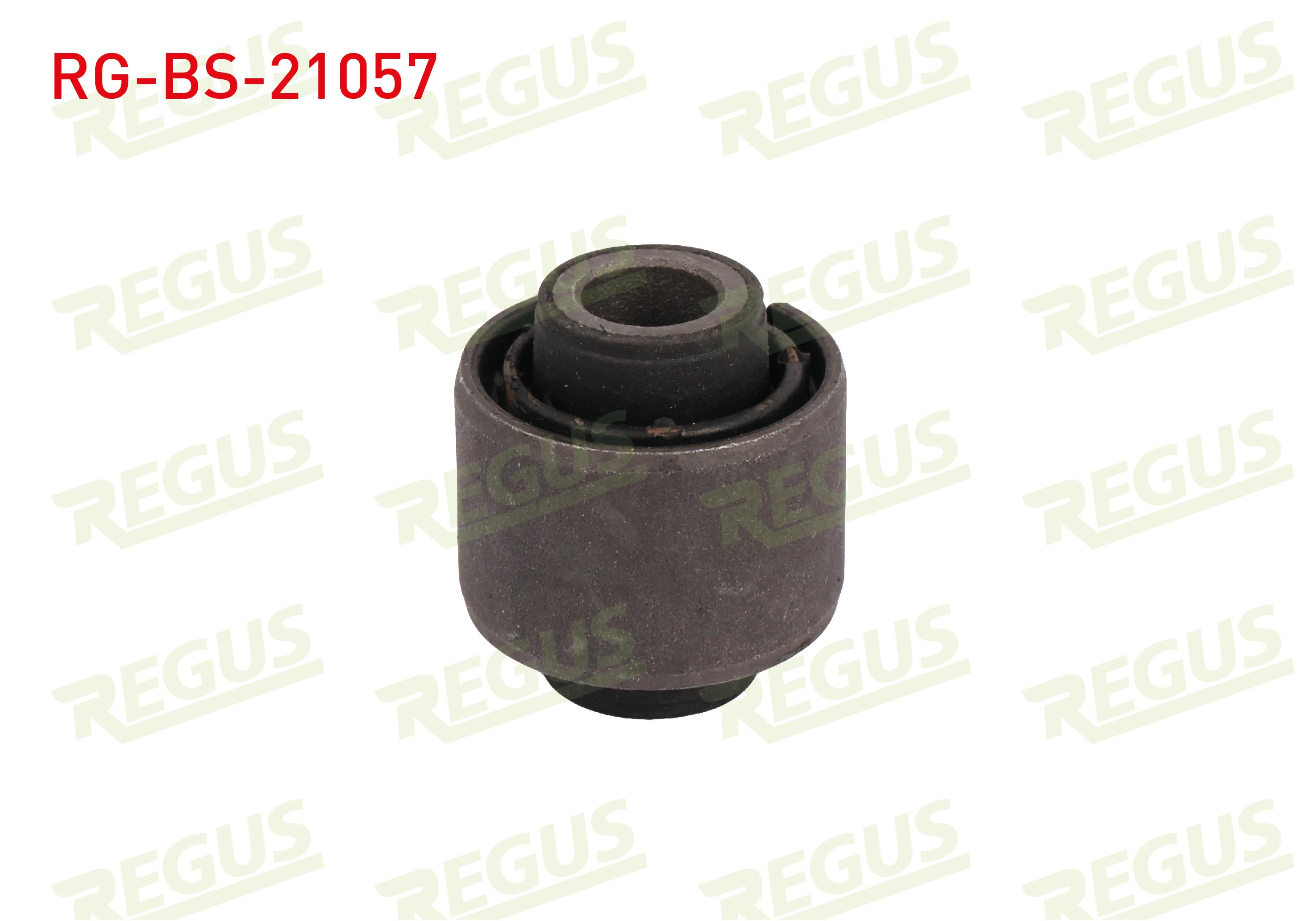 REGUS 57-10396