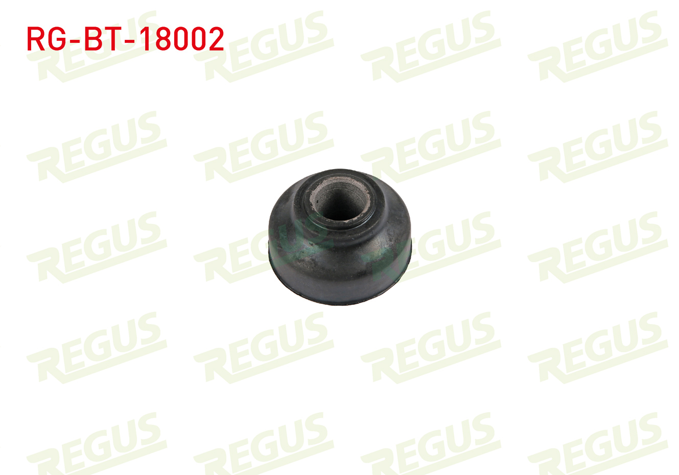 REGUS 65-05843
