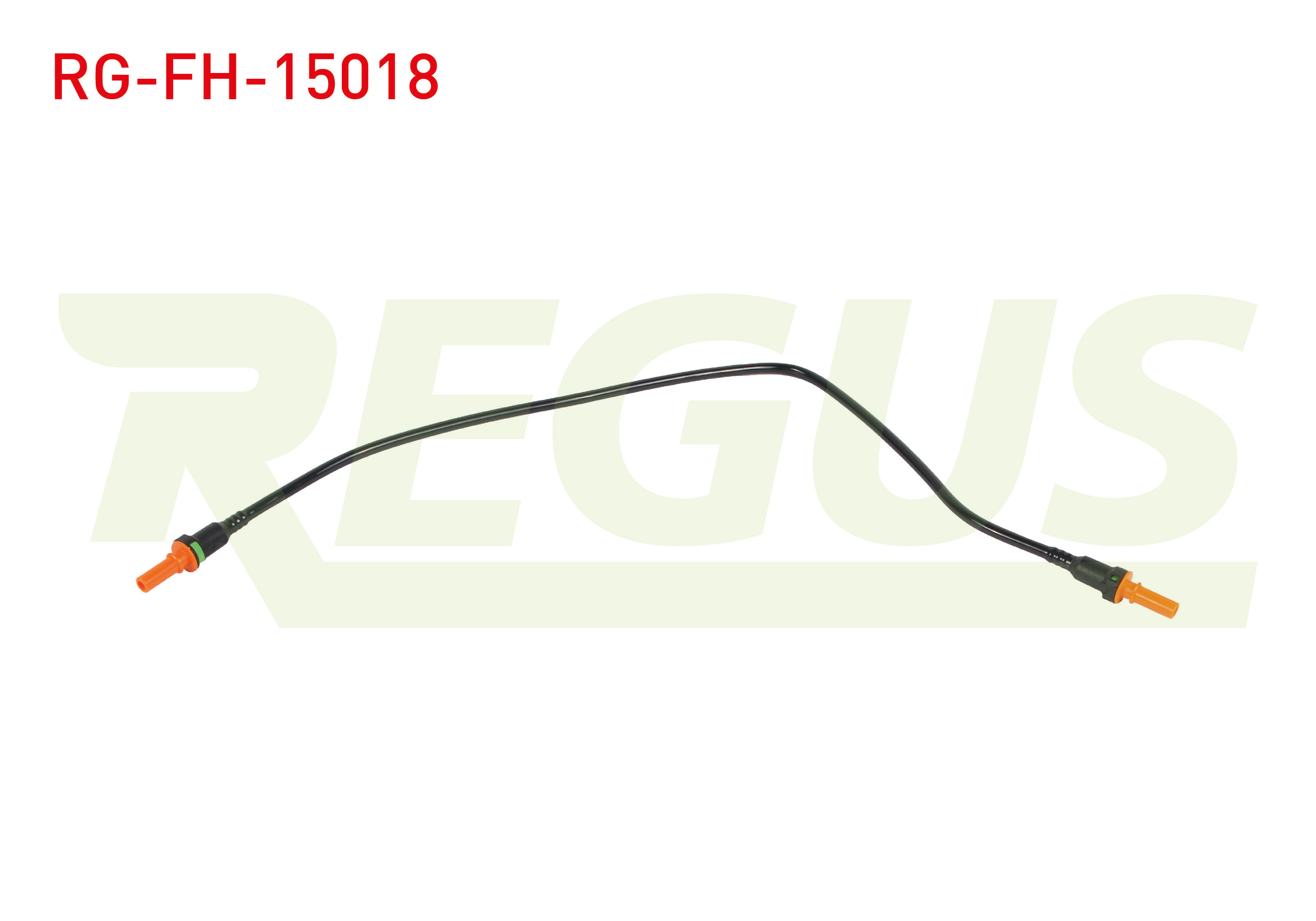 REGUS 17347
