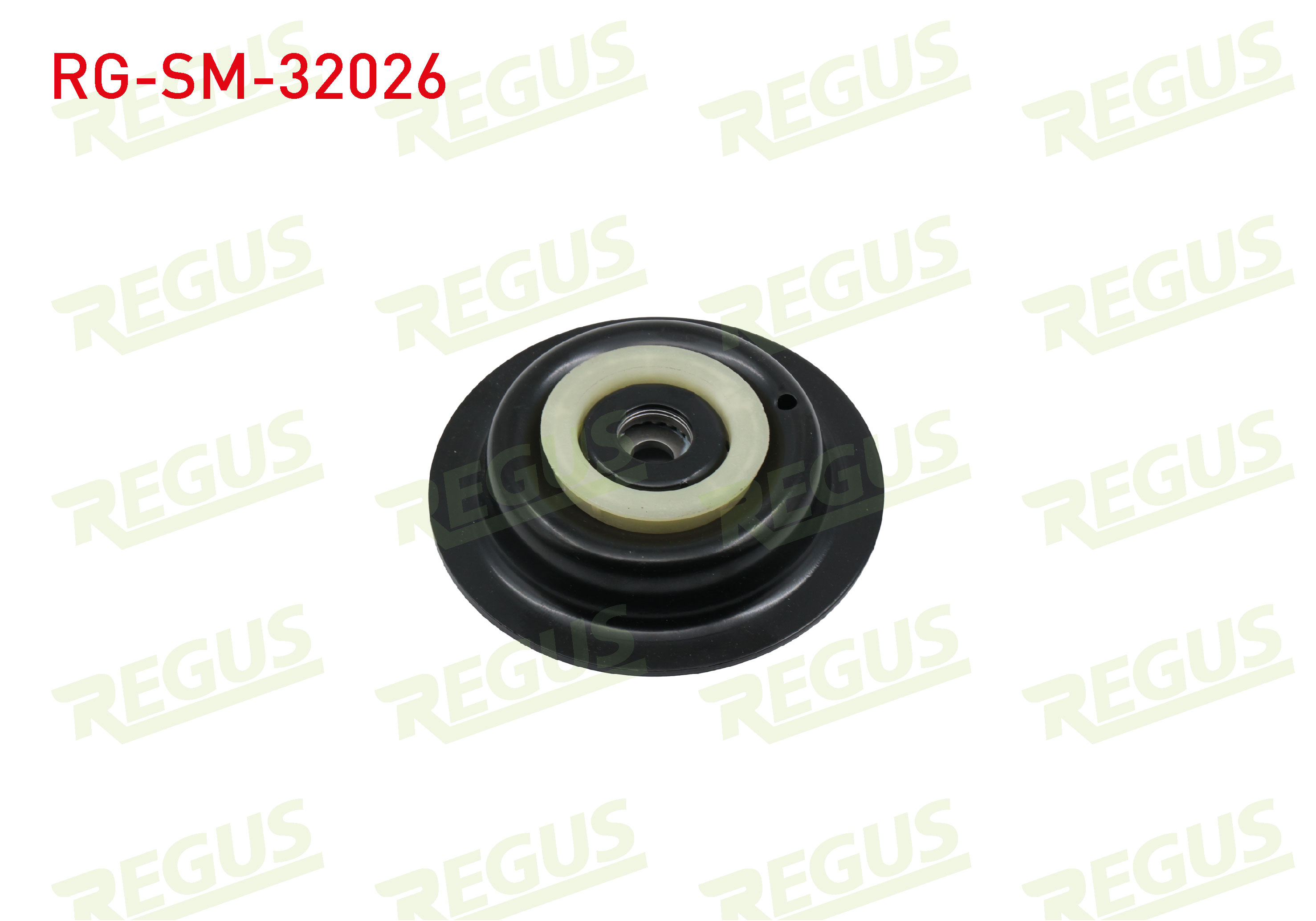 REGUS 17180