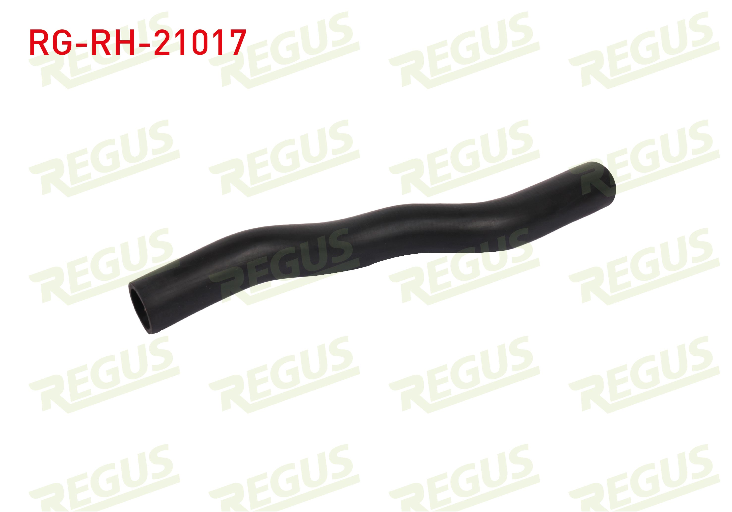 REGUS 