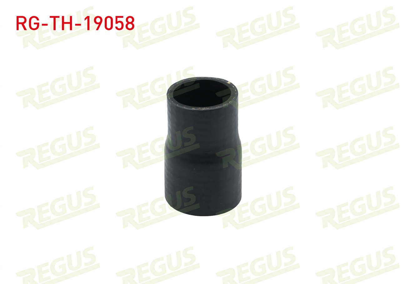 REGUS 19576