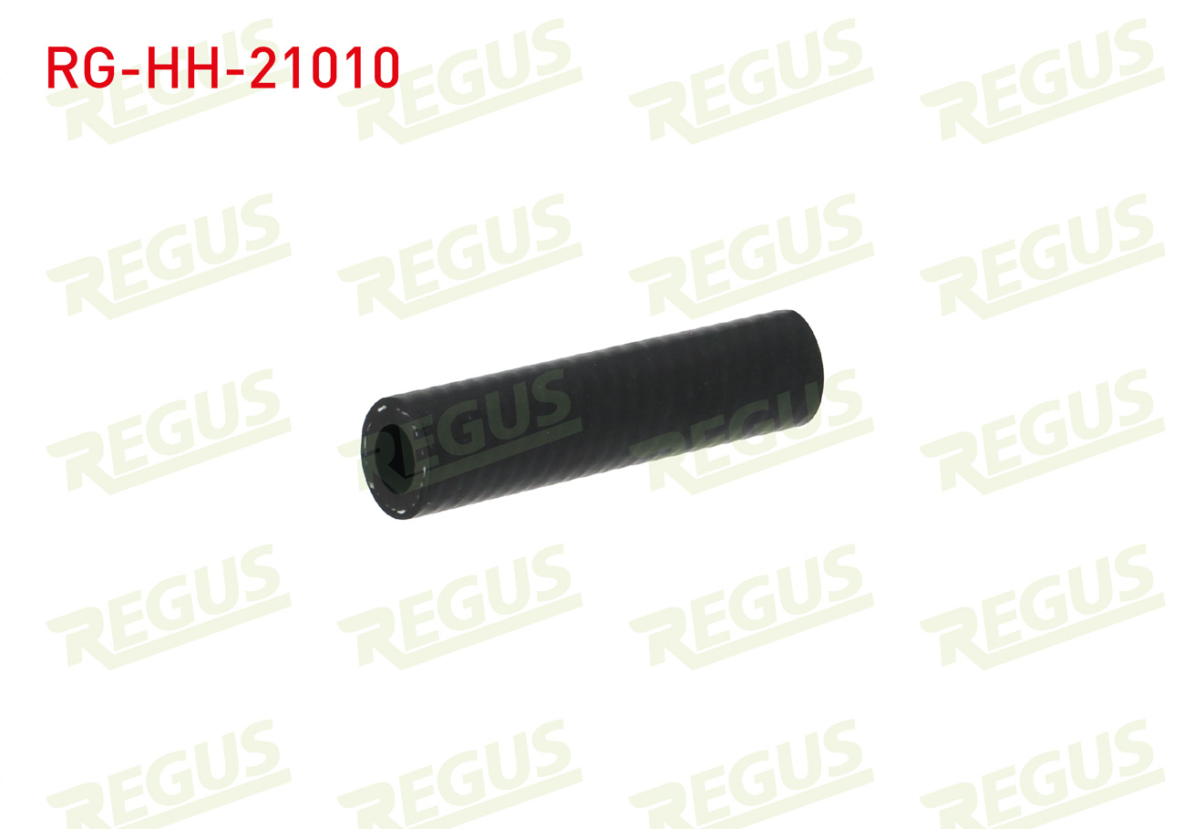 REGUS 23005