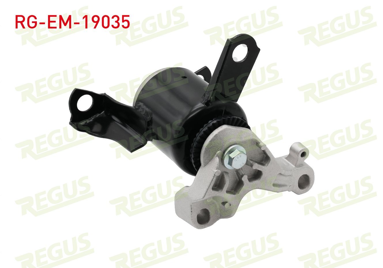 REGUS 61-10881