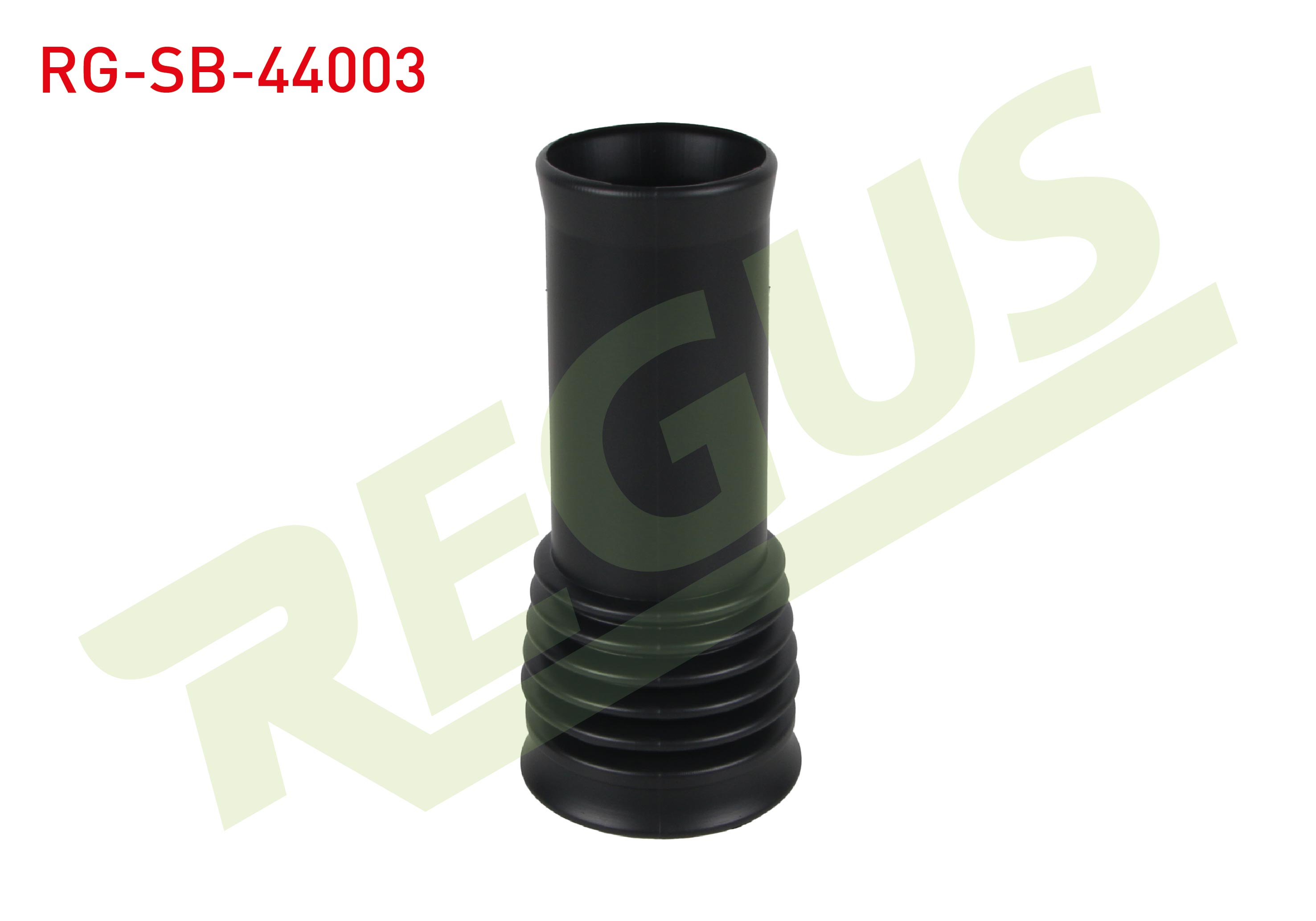 REGUS 