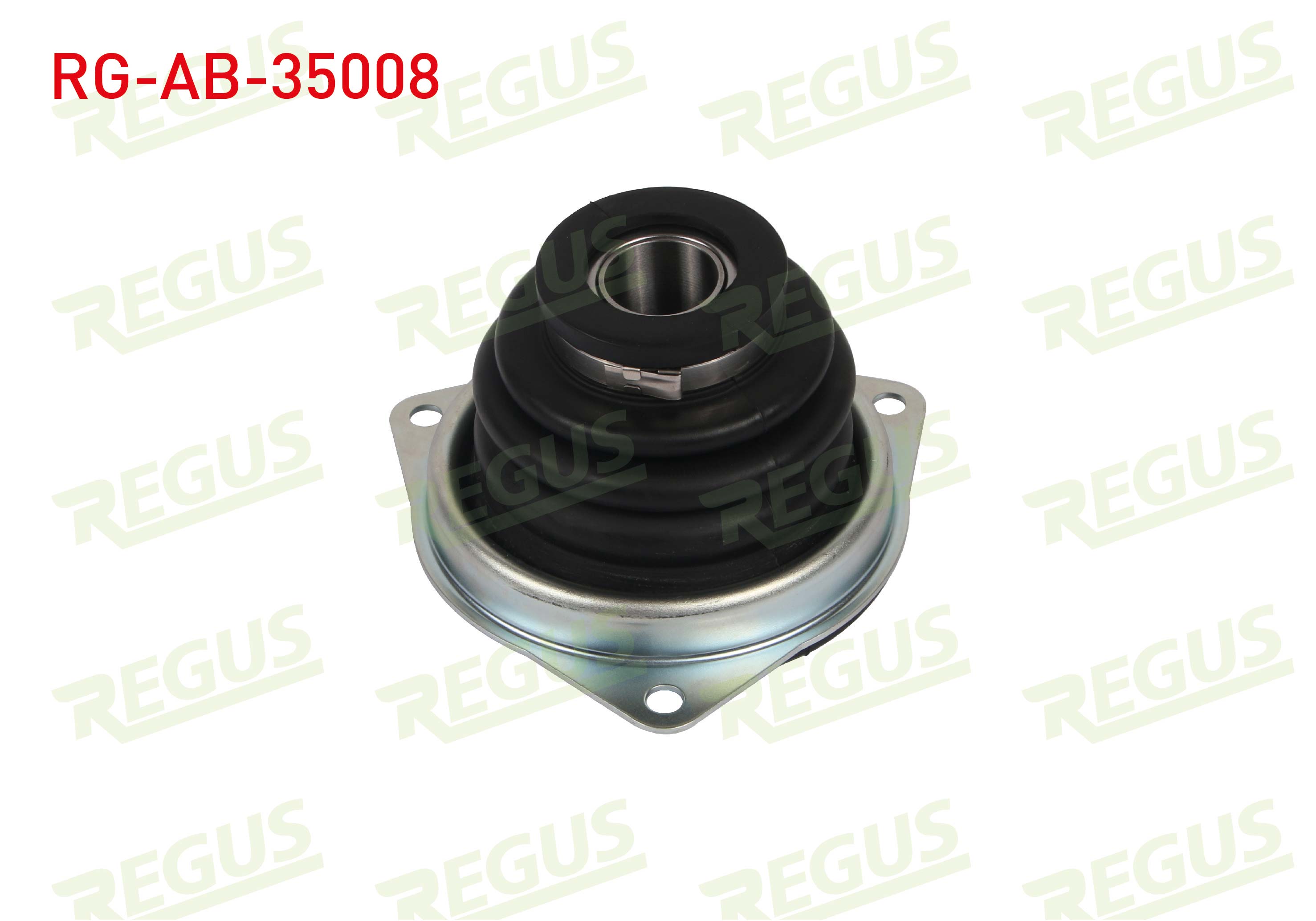 REGUS 300573