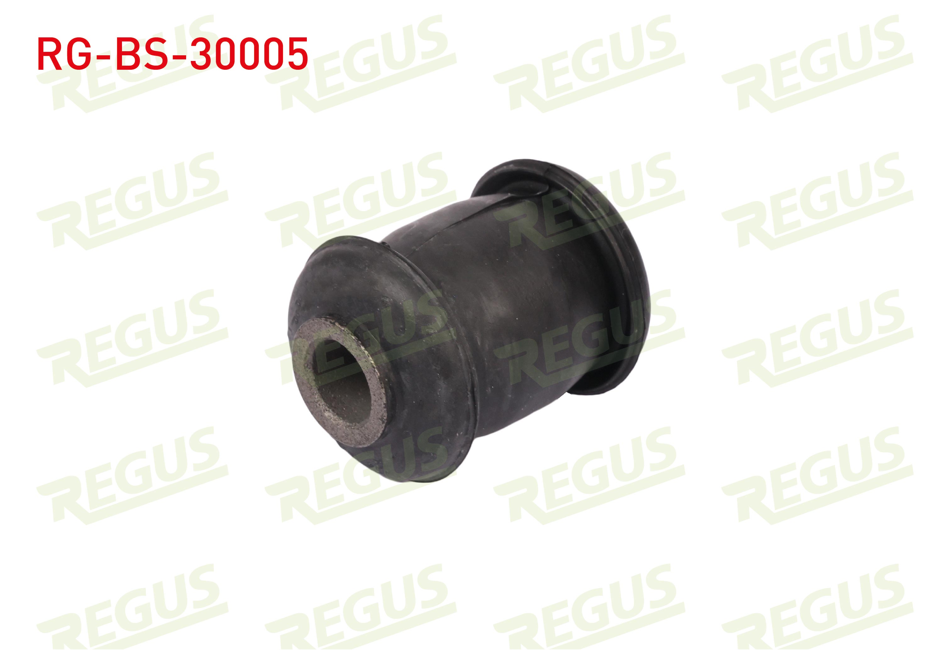 REGUS 34202