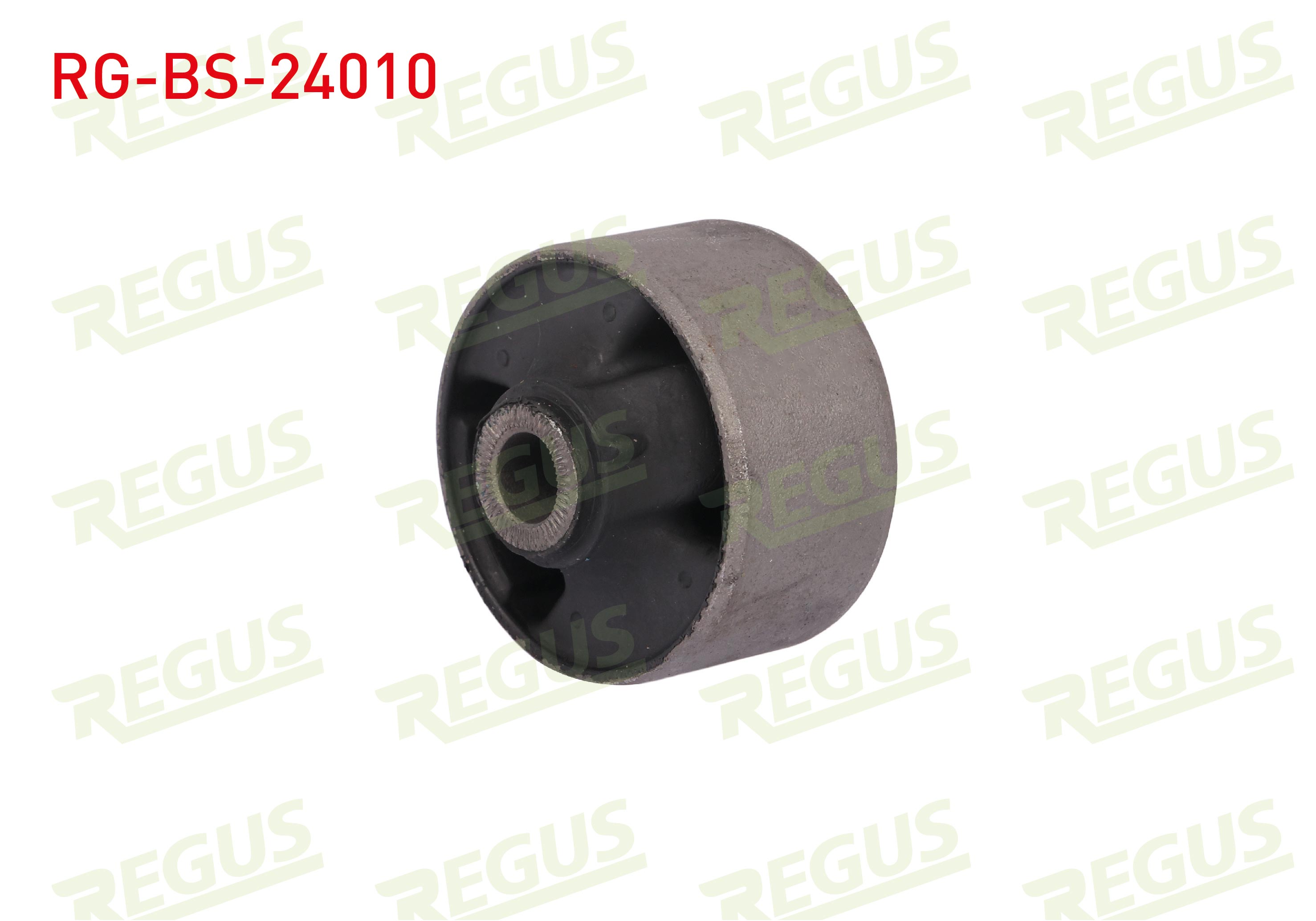 REGUS 57-11025