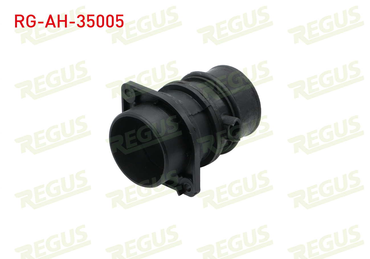 REGUS 11732