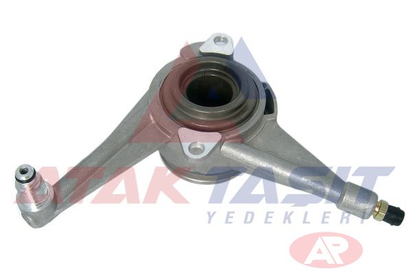 AP 810021